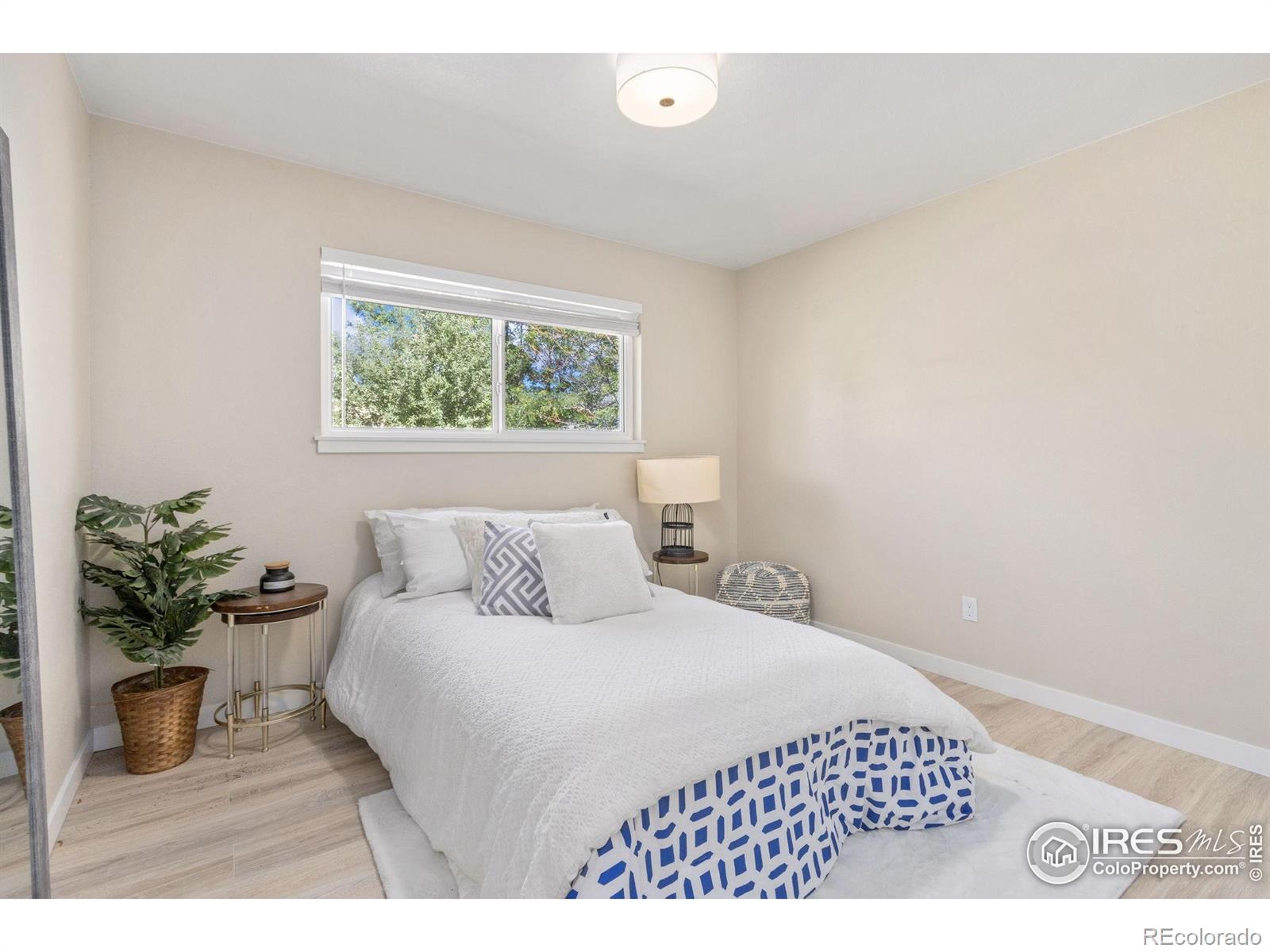 MLS Image #9 for 1101  timber lane,fort collins, Colorado