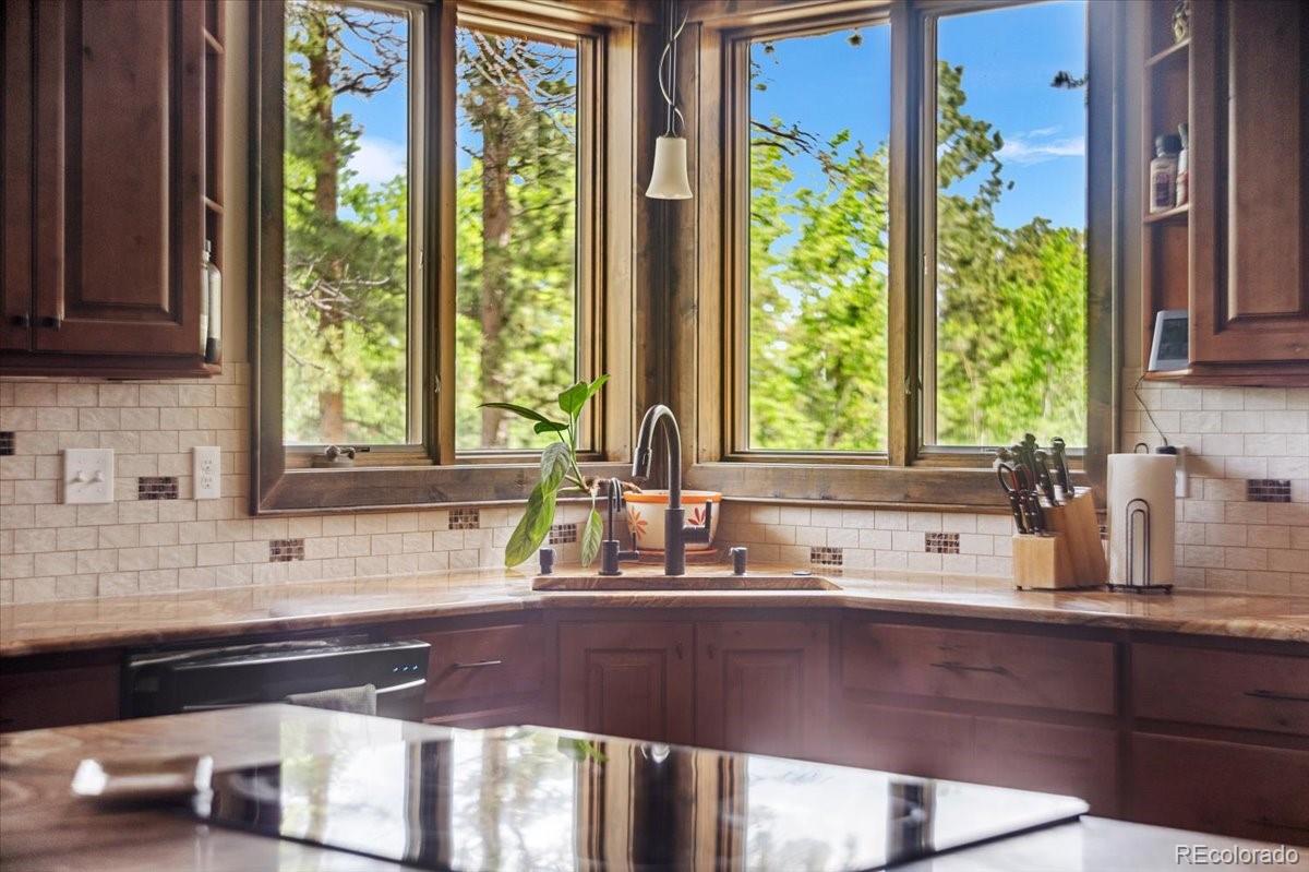 MLS Image #14 for 1524  fox acres dr w ,red feather lakes, Colorado