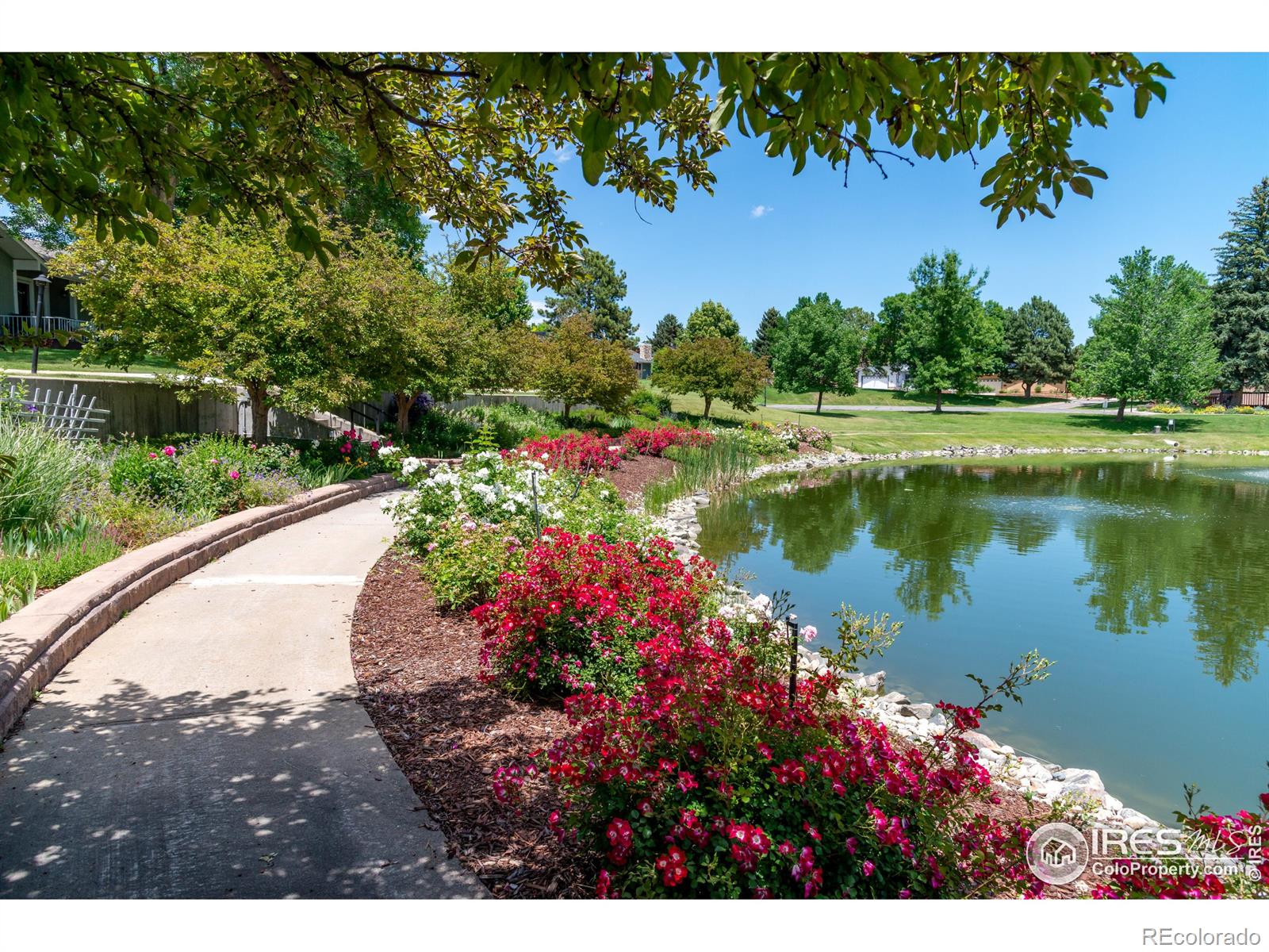 MLS Image #32 for 40  walter way,broomfield, Colorado