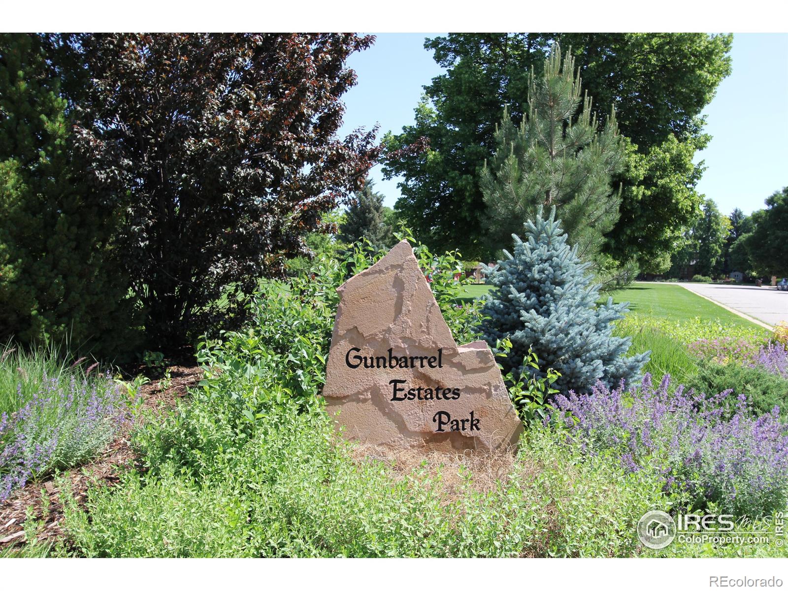 MLS Image #33 for 7459  mount meeker road,longmont, Colorado
