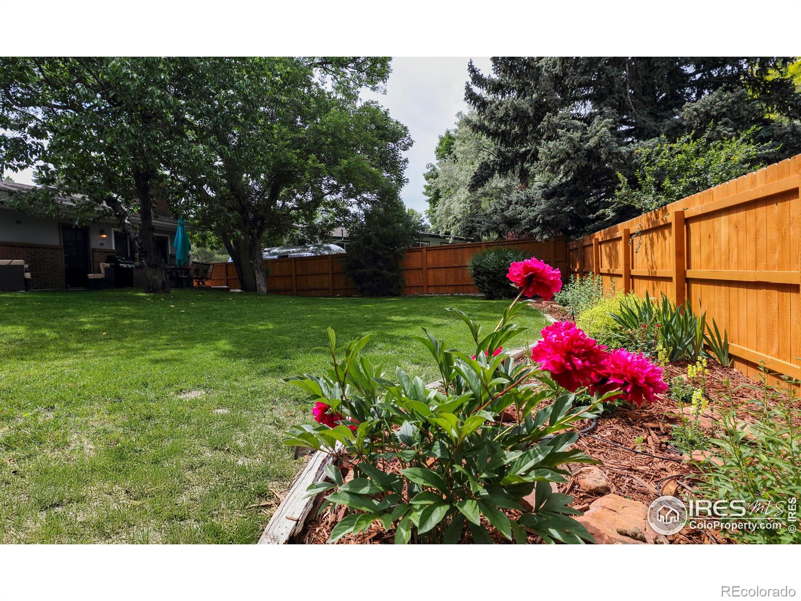 MLS Image #5 for 7459  mount meeker road,longmont, Colorado