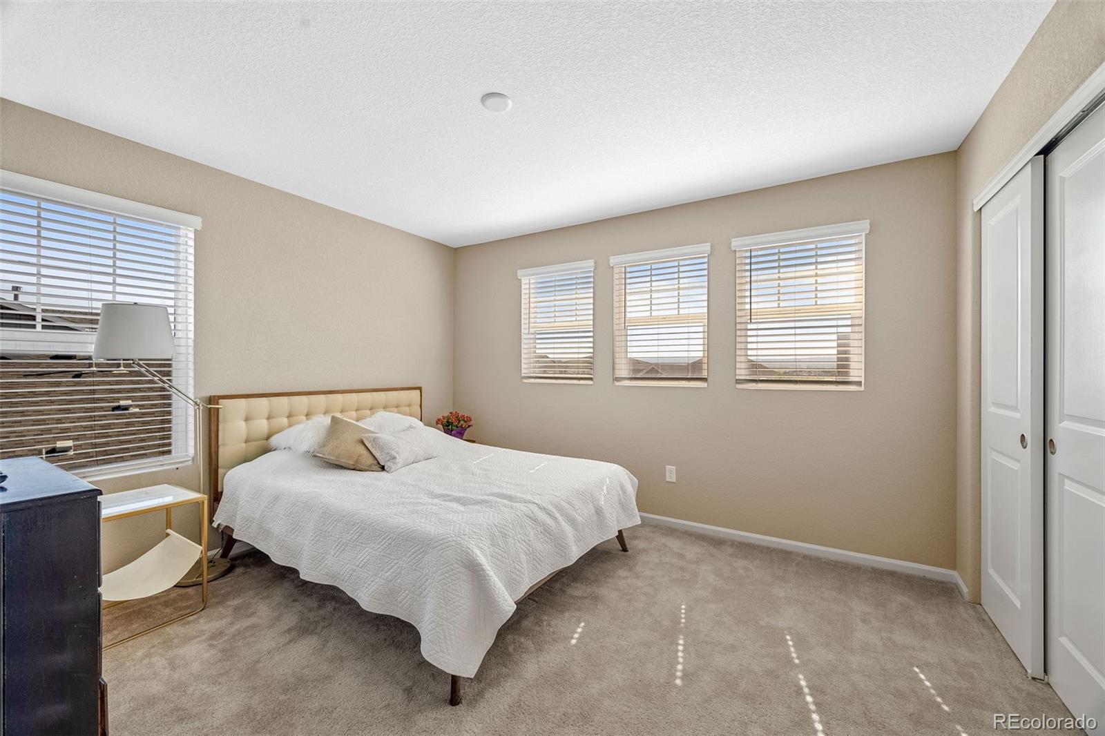 MLS Image #15 for 9099  fraser river street,littleton, Colorado