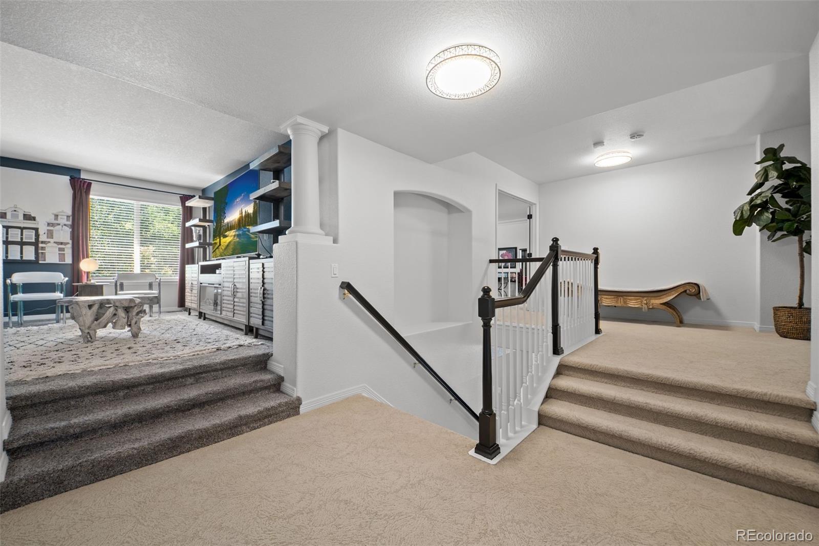 MLS Image #22 for 2062  hyacinth road,highlands ranch, Colorado