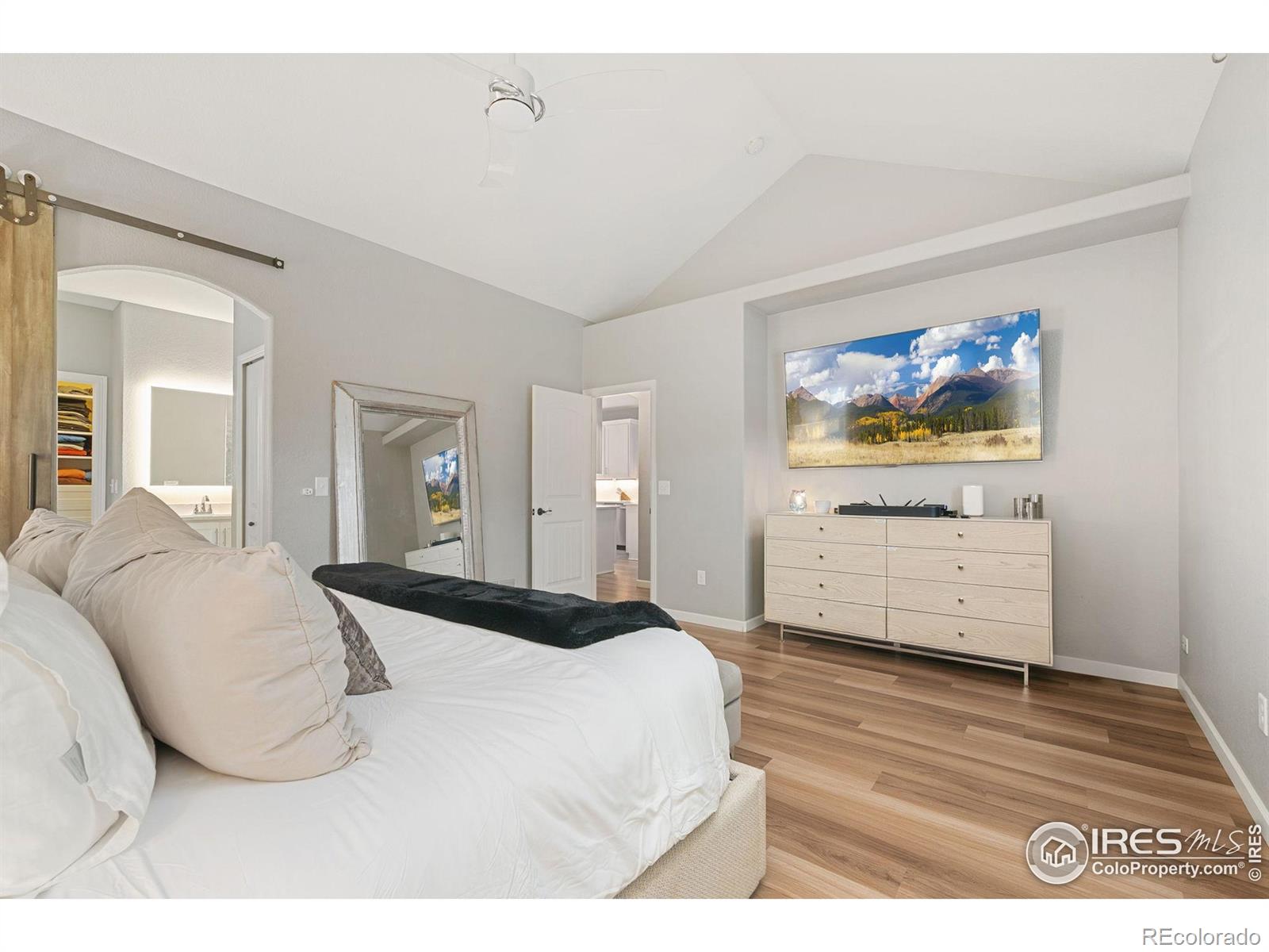MLS Image #10 for 641  babine court,windsor, Colorado