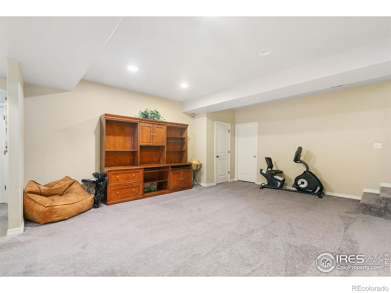 MLS Image #18 for 641  babine court,windsor, Colorado