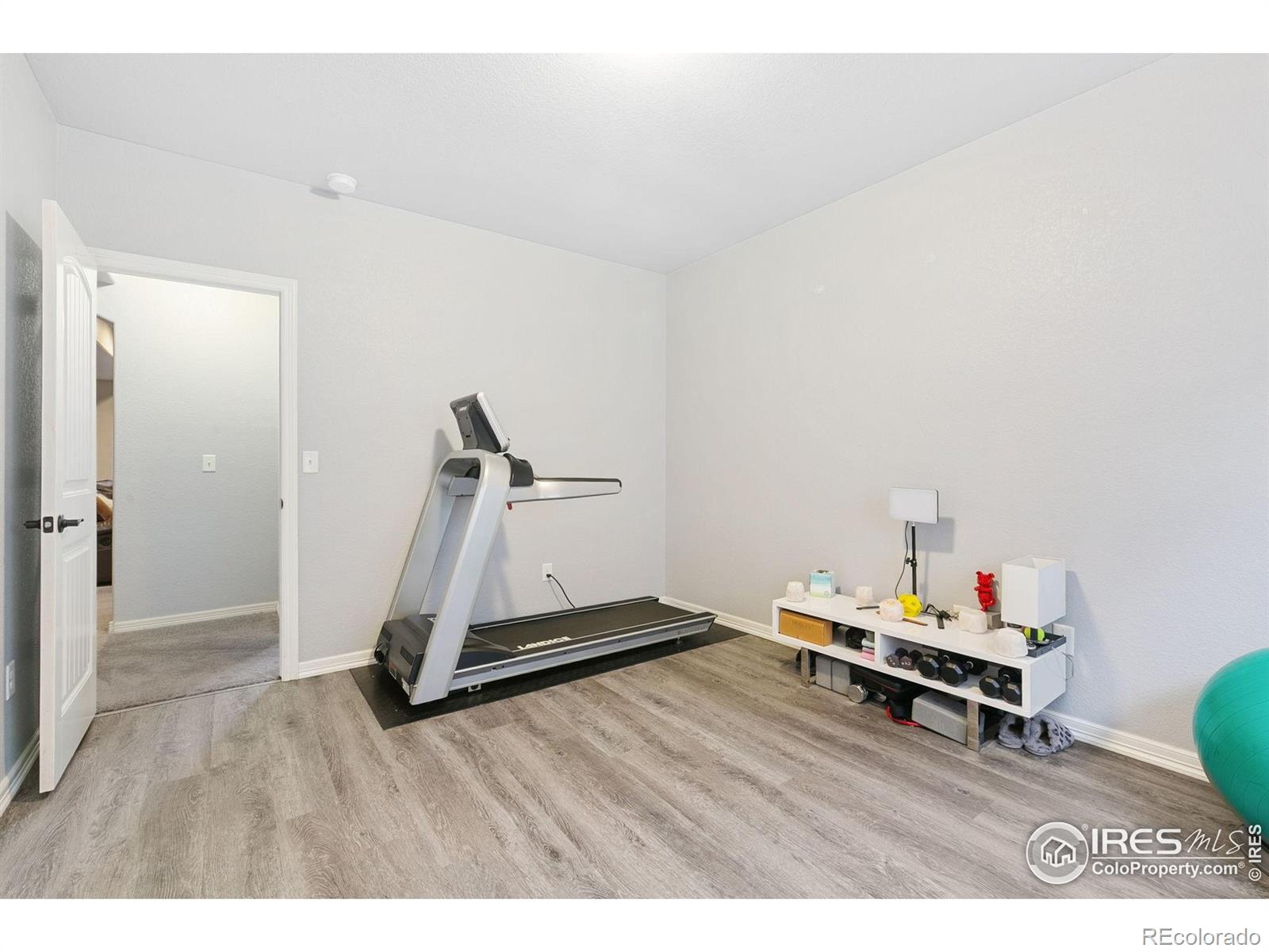 MLS Image #20 for 641  babine court,windsor, Colorado