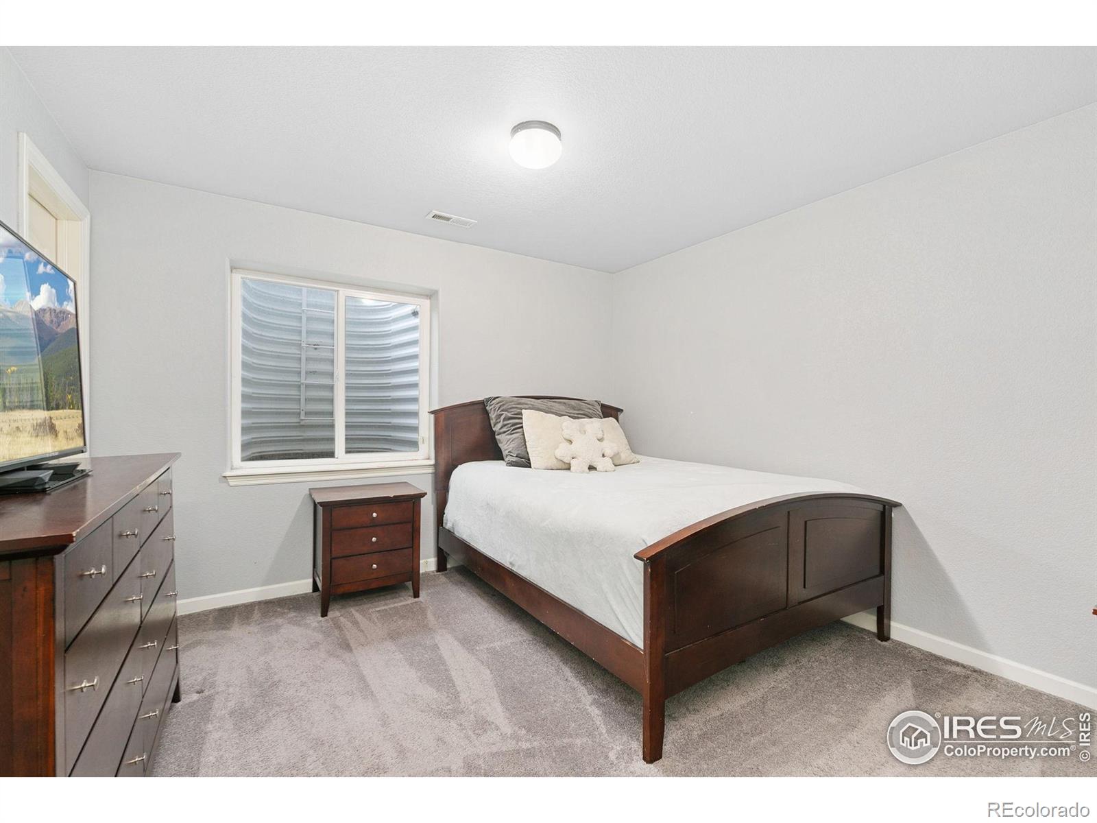 MLS Image #21 for 641  babine court,windsor, Colorado