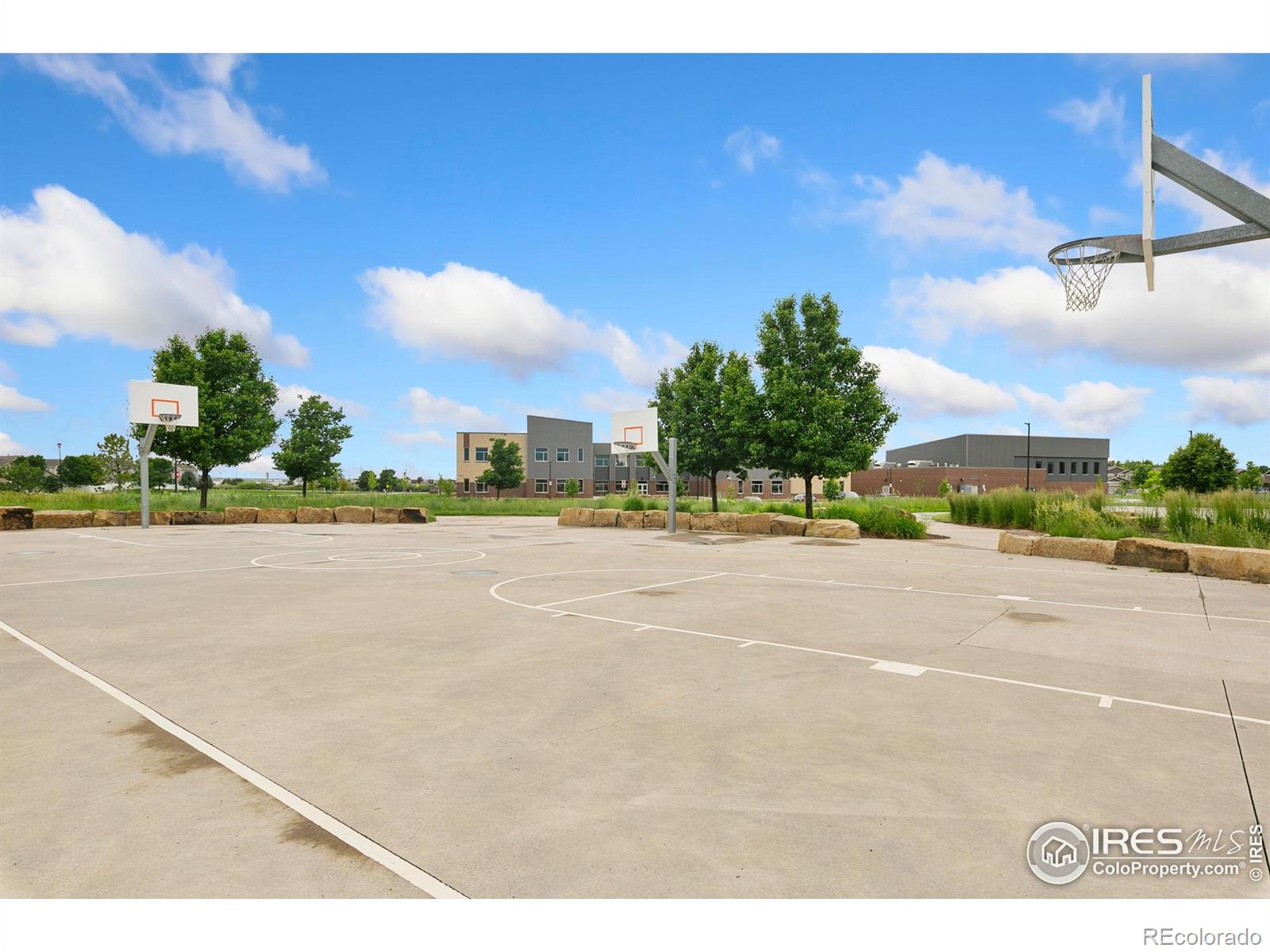 MLS Image #25 for 641  babine court,windsor, Colorado