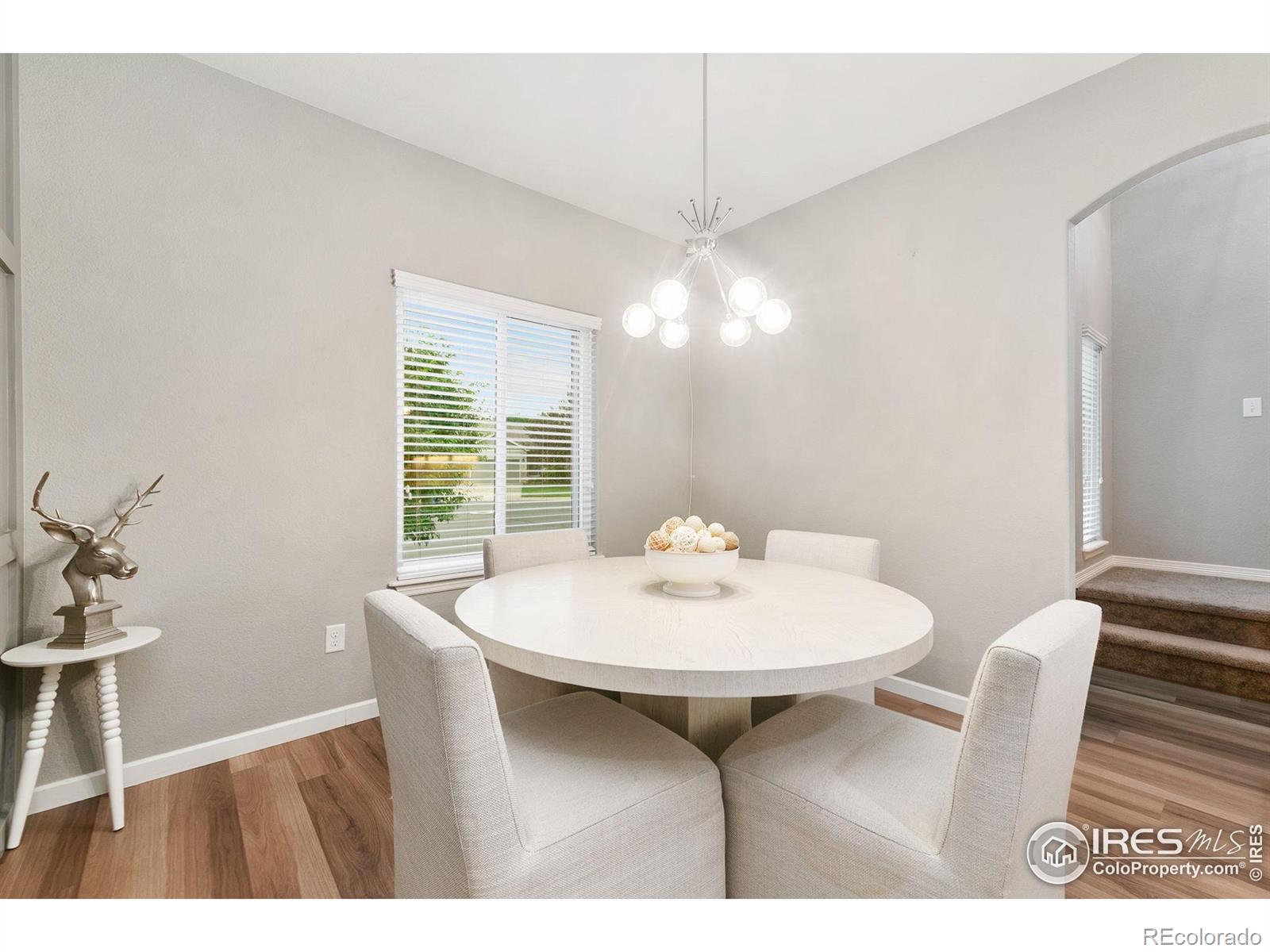 MLS Image #7 for 641  babine court,windsor, Colorado