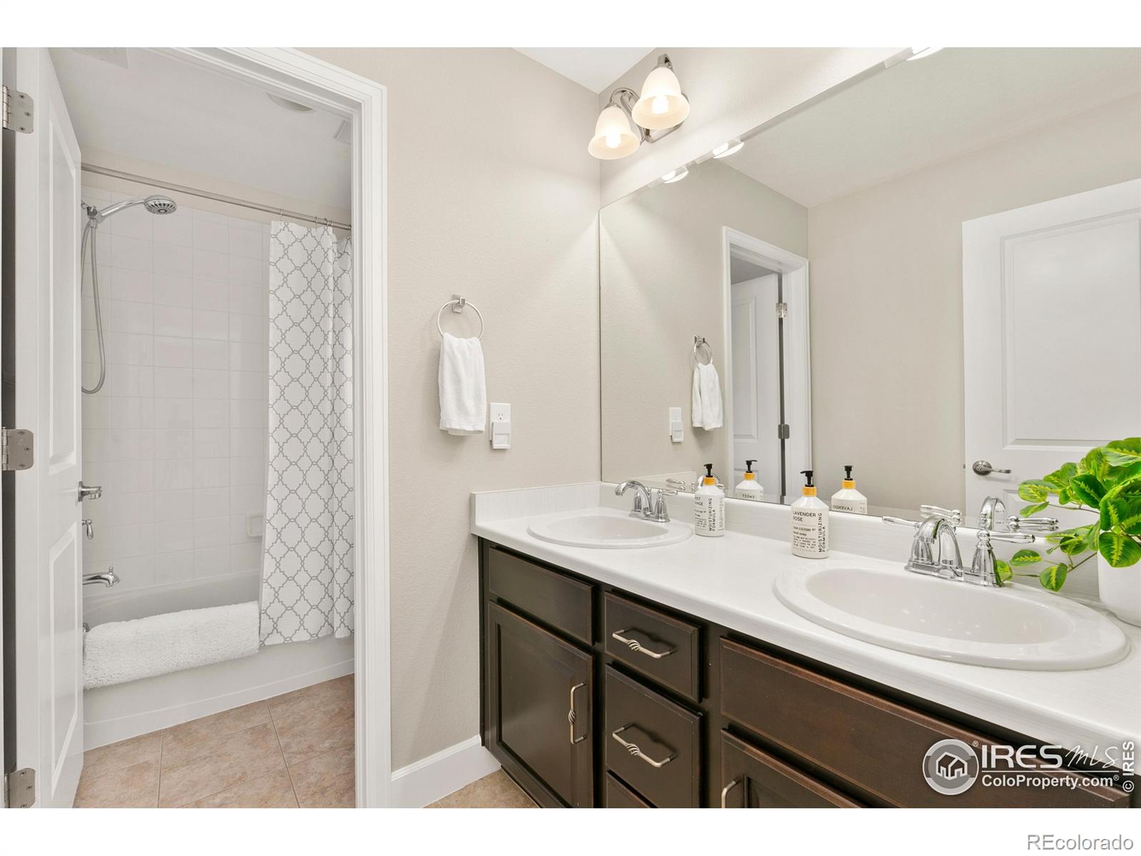 MLS Image #17 for 5821  big canyon drive,fort collins, Colorado