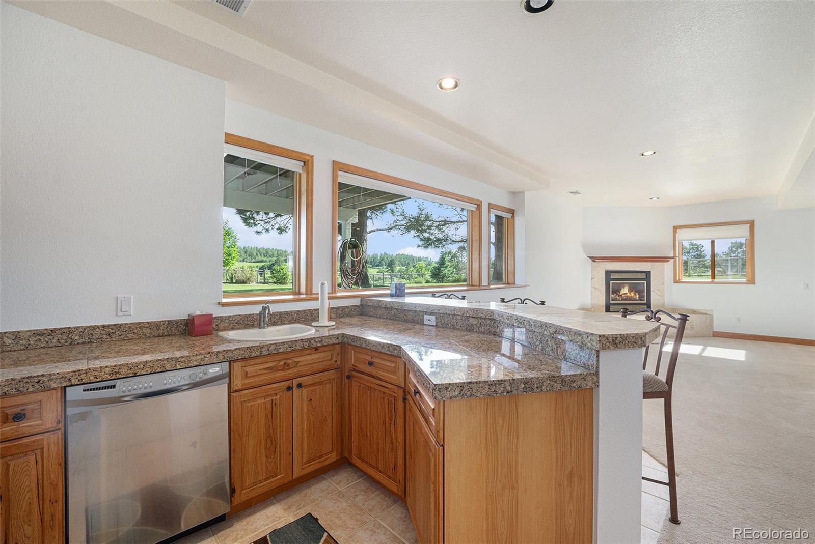 MLS Image #34 for 497  grey squirrel way,franktown, Colorado