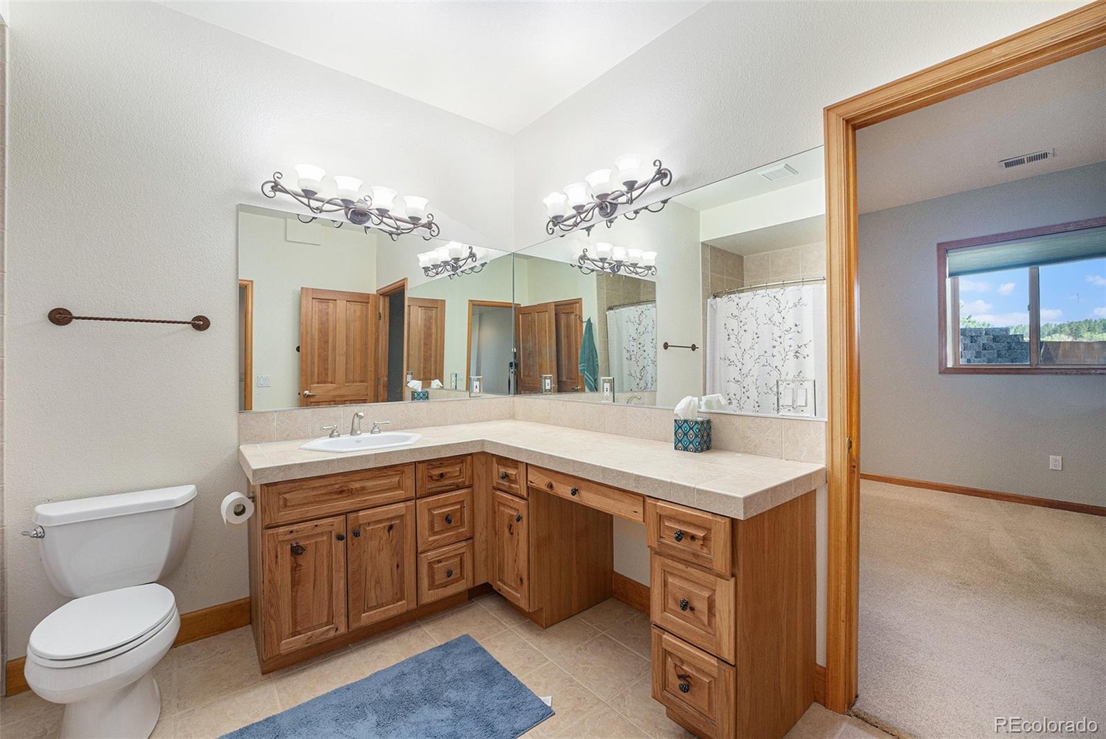 MLS Image #38 for 497  grey squirrel way,franktown, Colorado