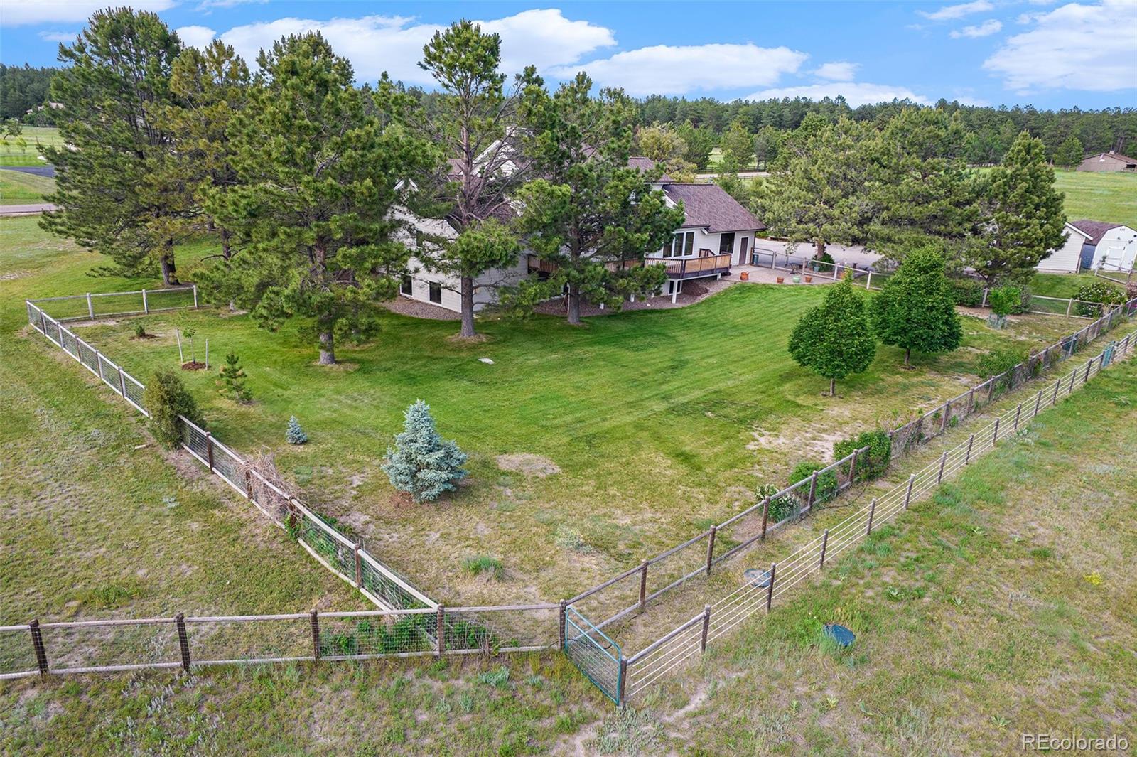 MLS Image #41 for 497  grey squirrel way,franktown, Colorado