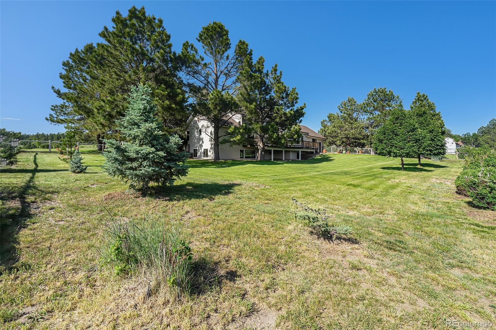 MLS Image #43 for 497  grey squirrel way,franktown, Colorado