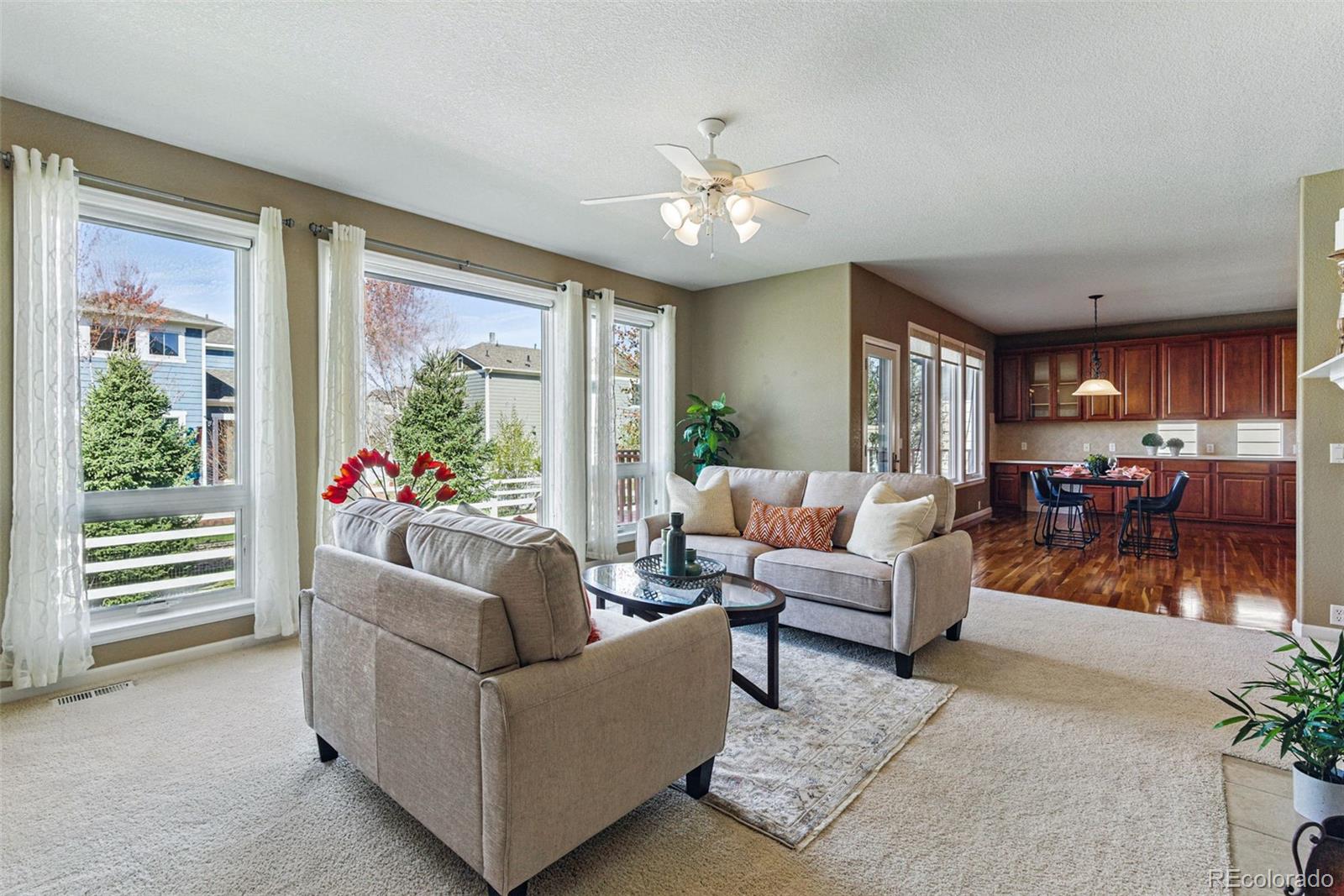 MLS Image #15 for 5017  bella vista drive,longmont, Colorado