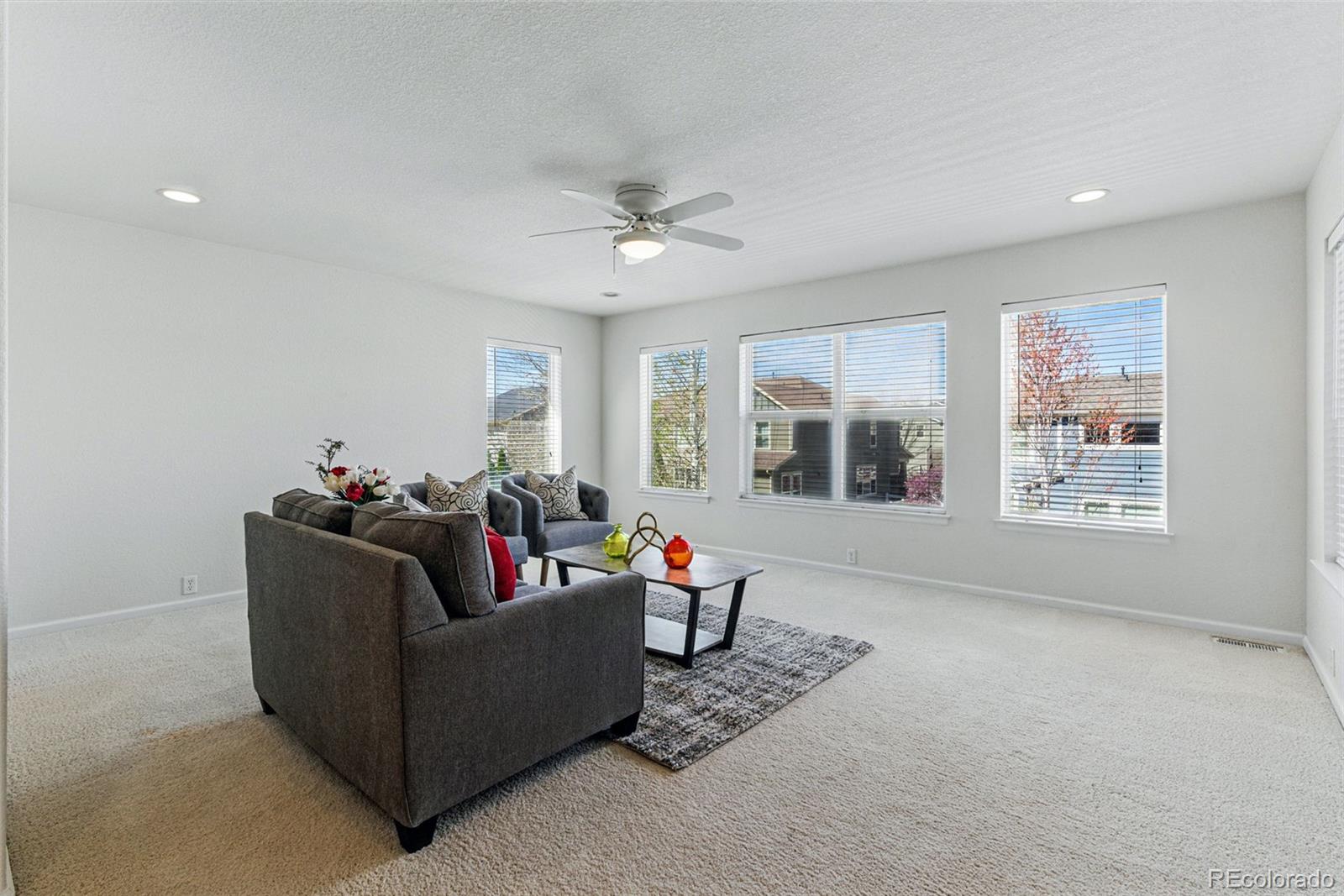 MLS Image #20 for 5017  bella vista drive,longmont, Colorado