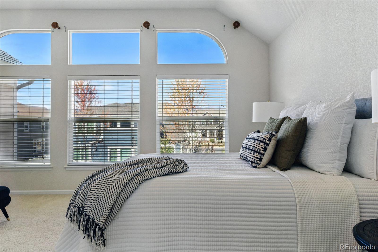 MLS Image #27 for 5017  bella vista drive,longmont, Colorado