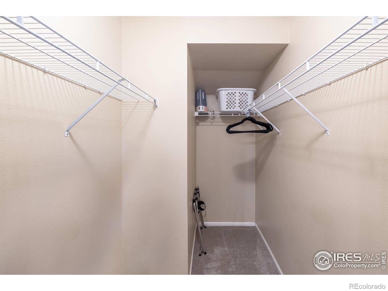 MLS Image #15 for 135  carina circle,loveland, Colorado