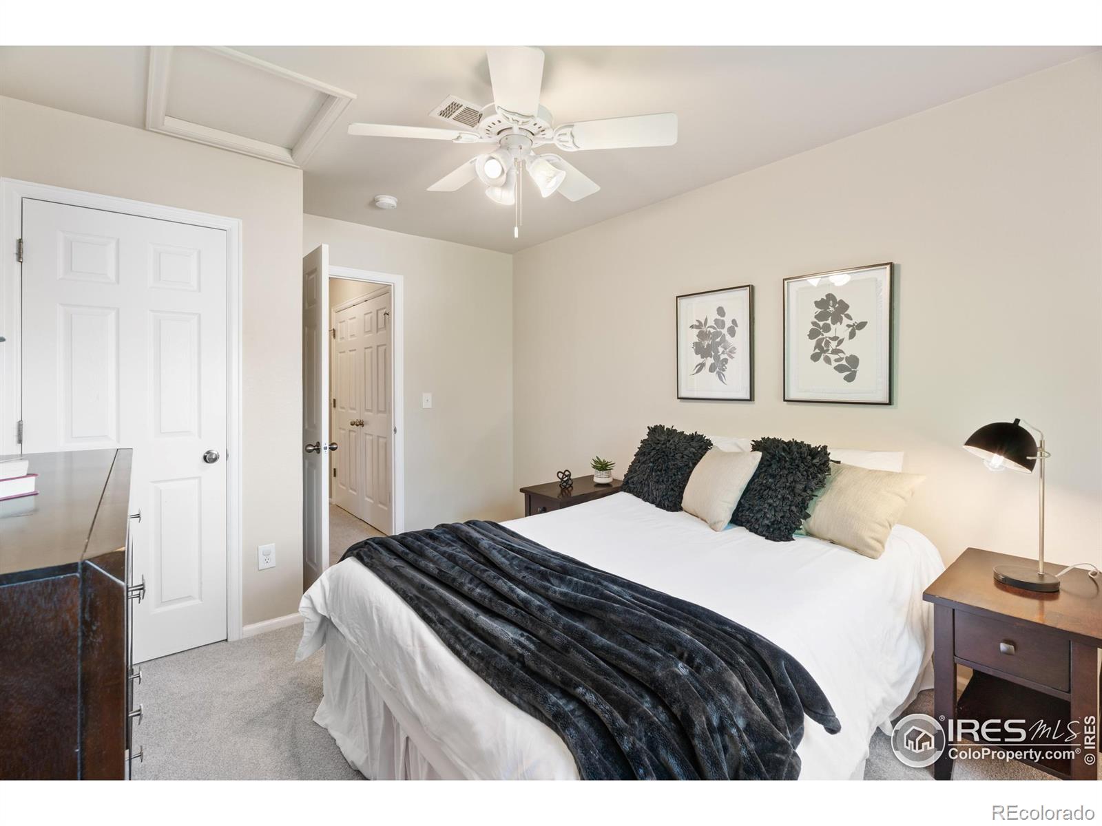 MLS Image #17 for 135  carina circle,loveland, Colorado