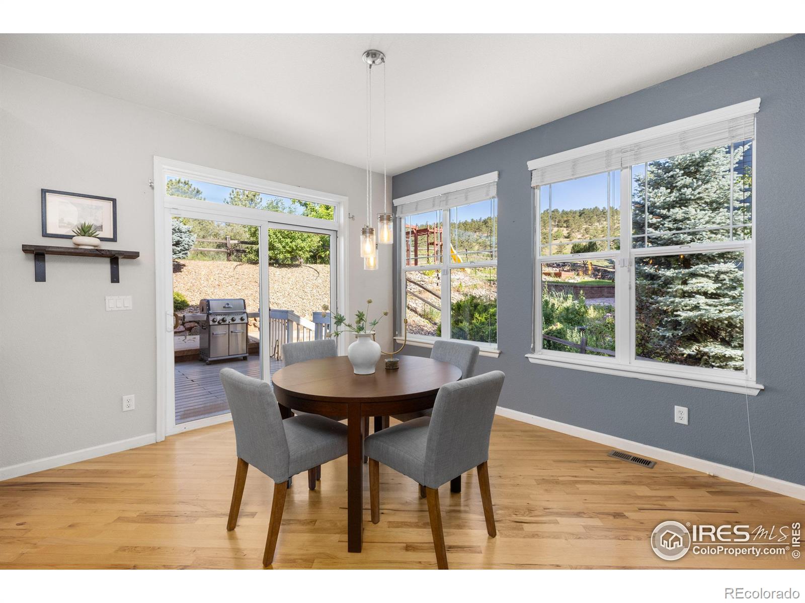 MLS Image #6 for 117  eagle valley drive,lyons, Colorado