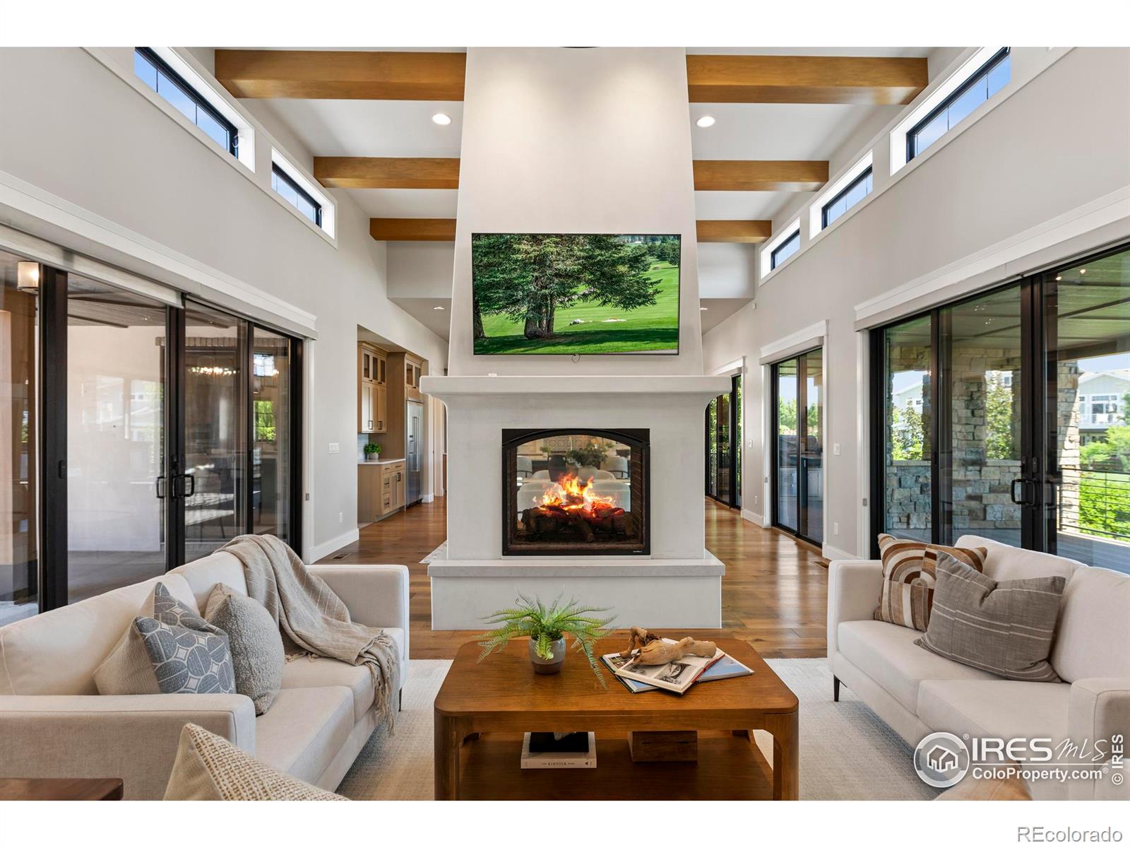 MLS Image #10 for 4008  branigan court,timnath, Colorado