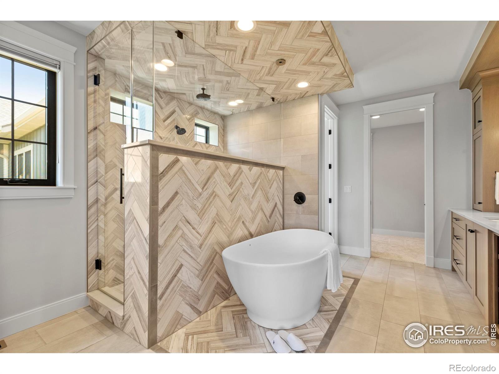 MLS Image #16 for 4008  branigan court,timnath, Colorado
