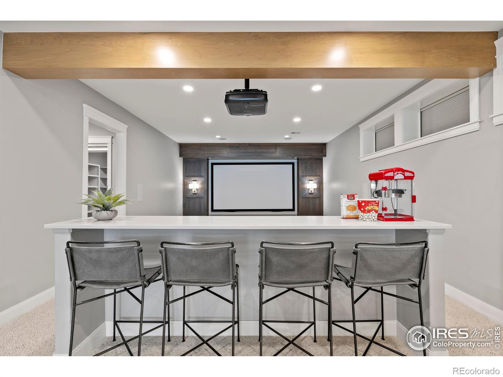 MLS Image #22 for 4008  branigan court,timnath, Colorado