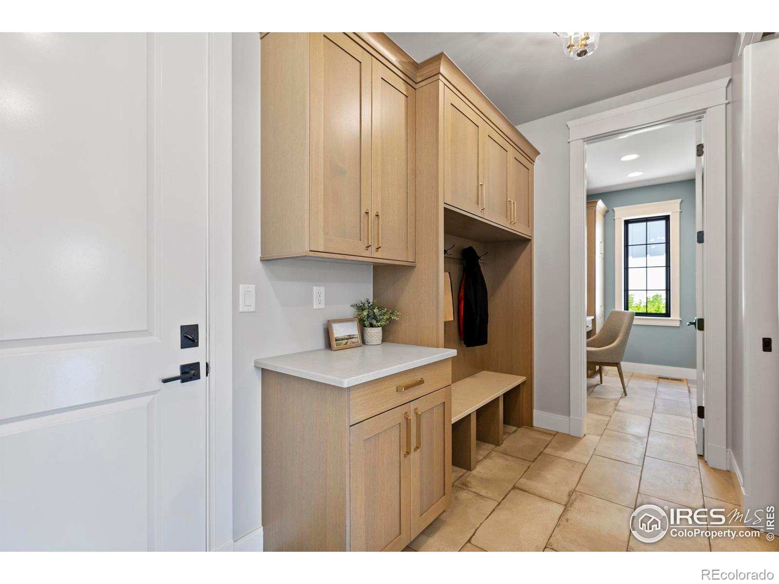 MLS Image #30 for 4008  branigan court,timnath, Colorado