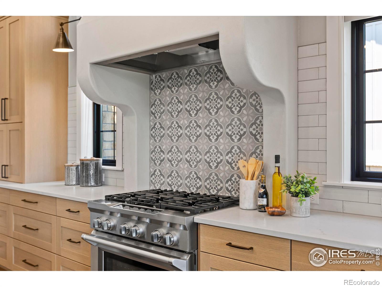 MLS Image #8 for 4008  branigan court,timnath, Colorado