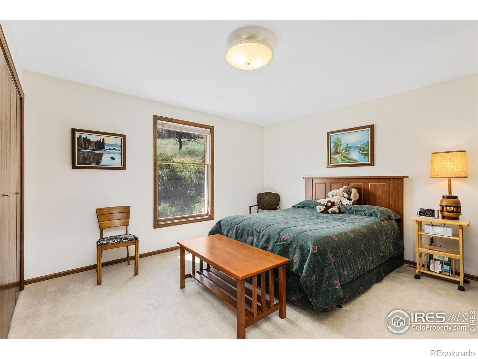 MLS Image #16 for 1125  stone canyon road,longmont, Colorado