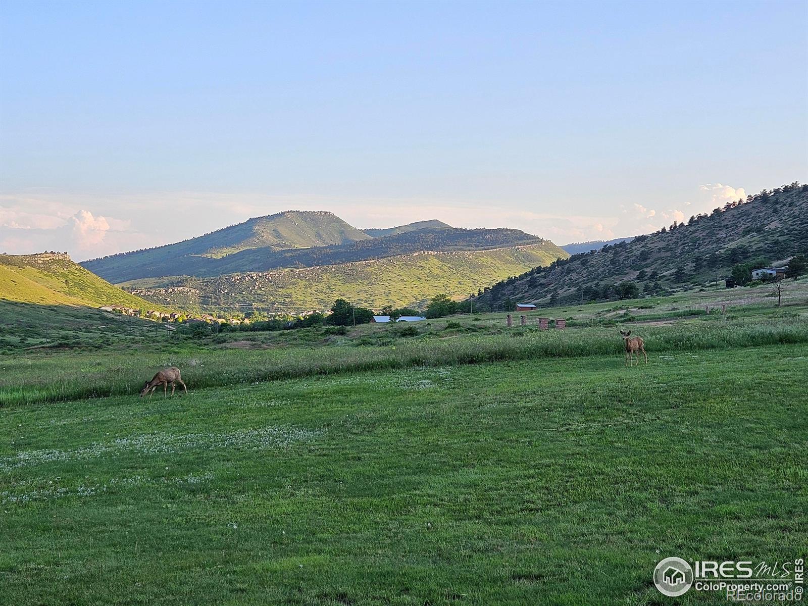 MLS Image #31 for 1125  stone canyon road,longmont, Colorado