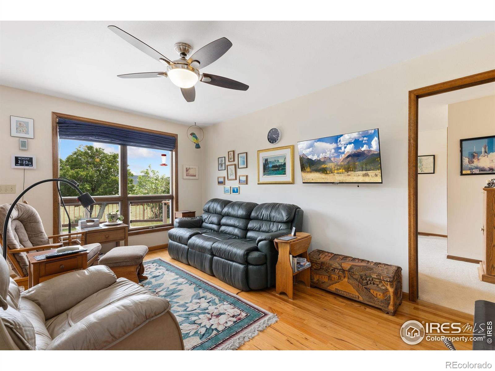 MLS Image #6 for 1125  stone canyon road,longmont, Colorado