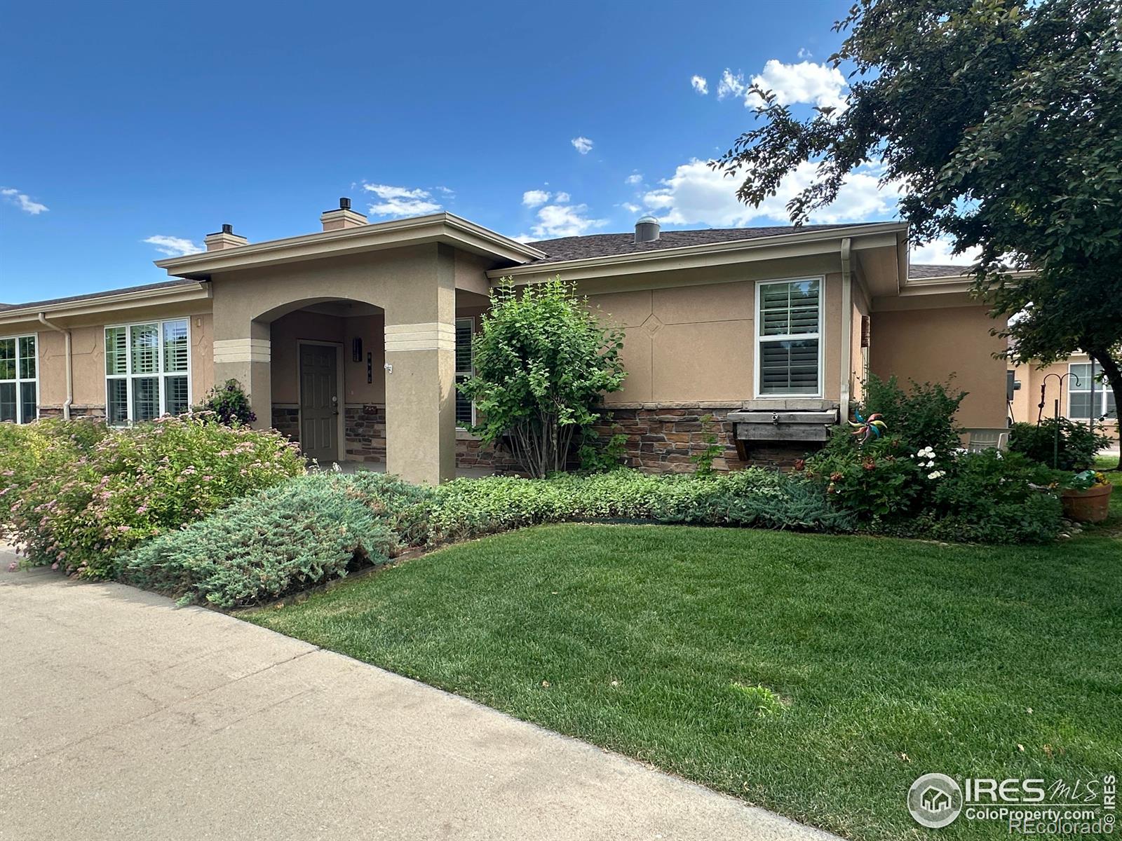 MLS Image #0 for 1238  finch street,loveland, Colorado