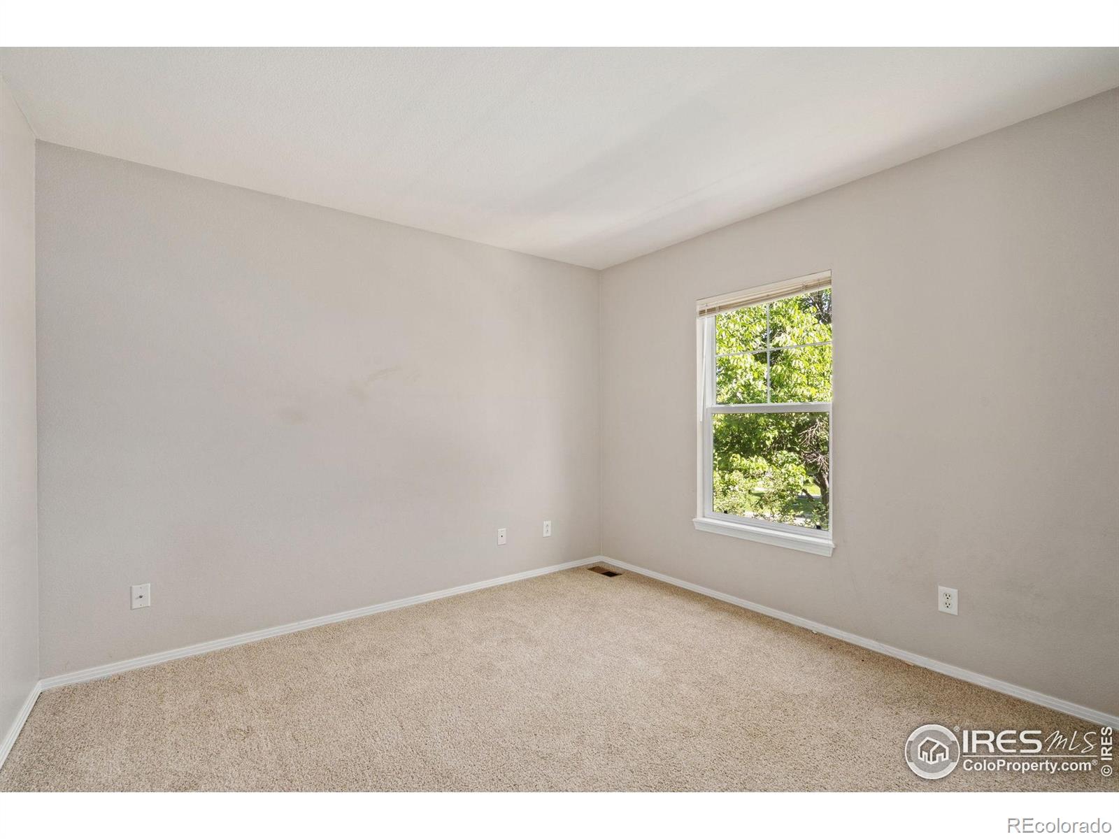 MLS Image #17 for 2809  rock creek drive,fort collins, Colorado