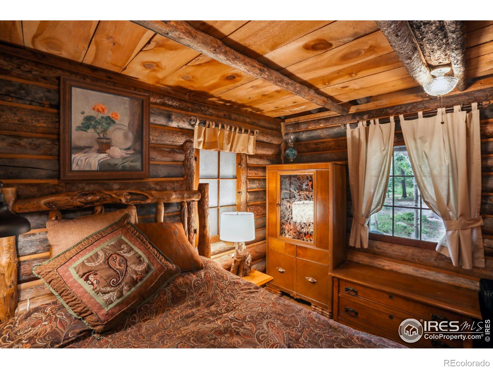 MLS Image #10 for 84  county road 113 ,allenspark, Colorado
