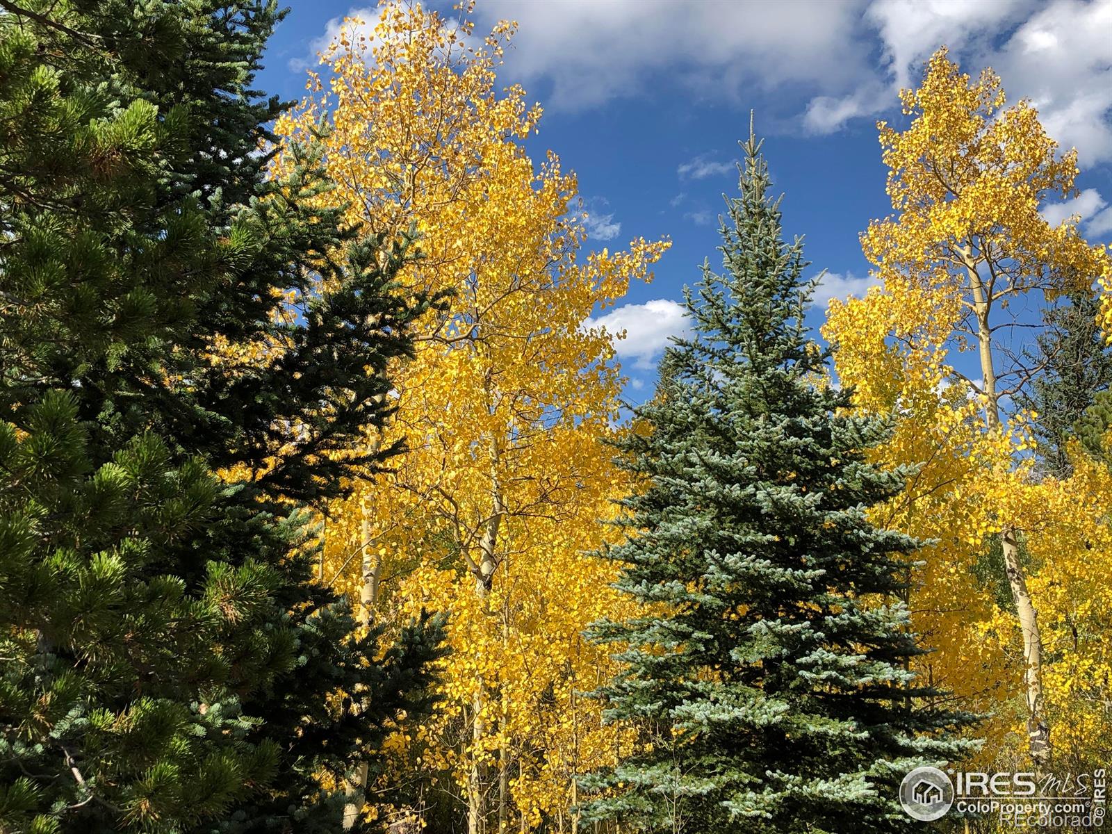 MLS Image #21 for 84  county road 113 ,allenspark, Colorado