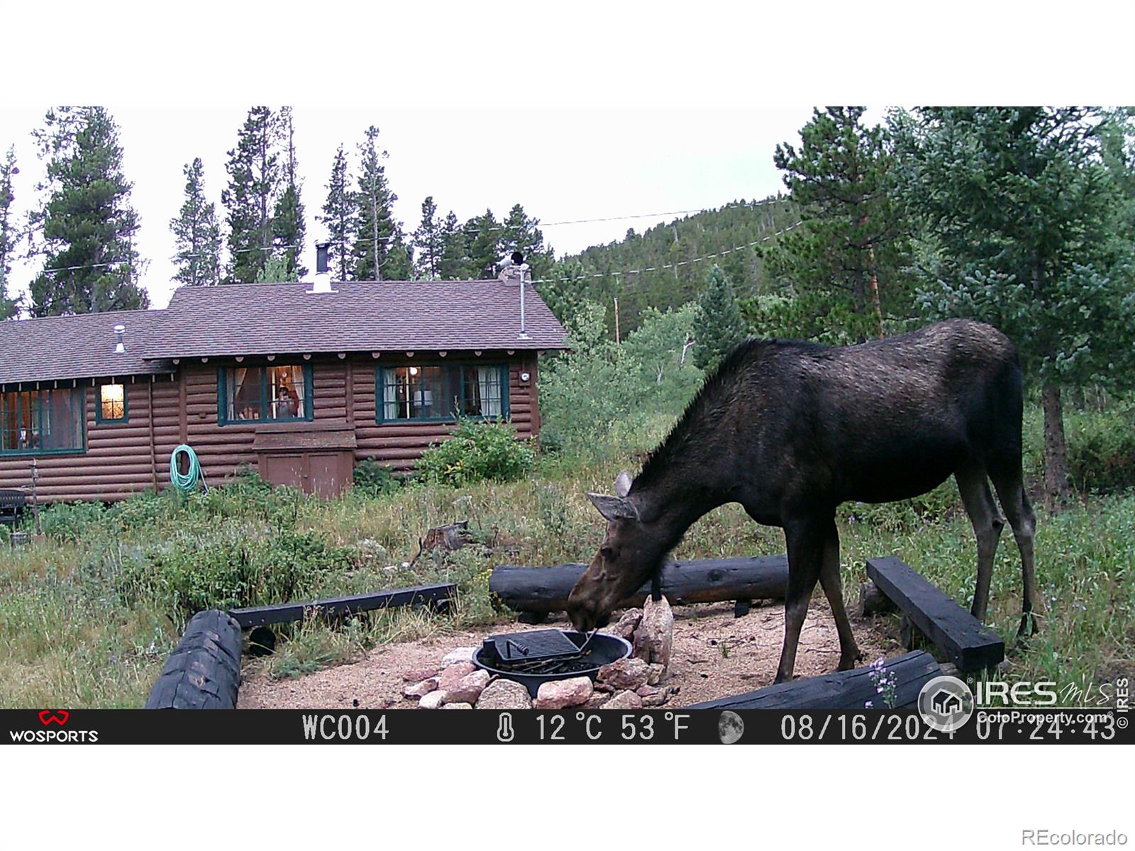 MLS Image #23 for 84  county road 113 ,allenspark, Colorado