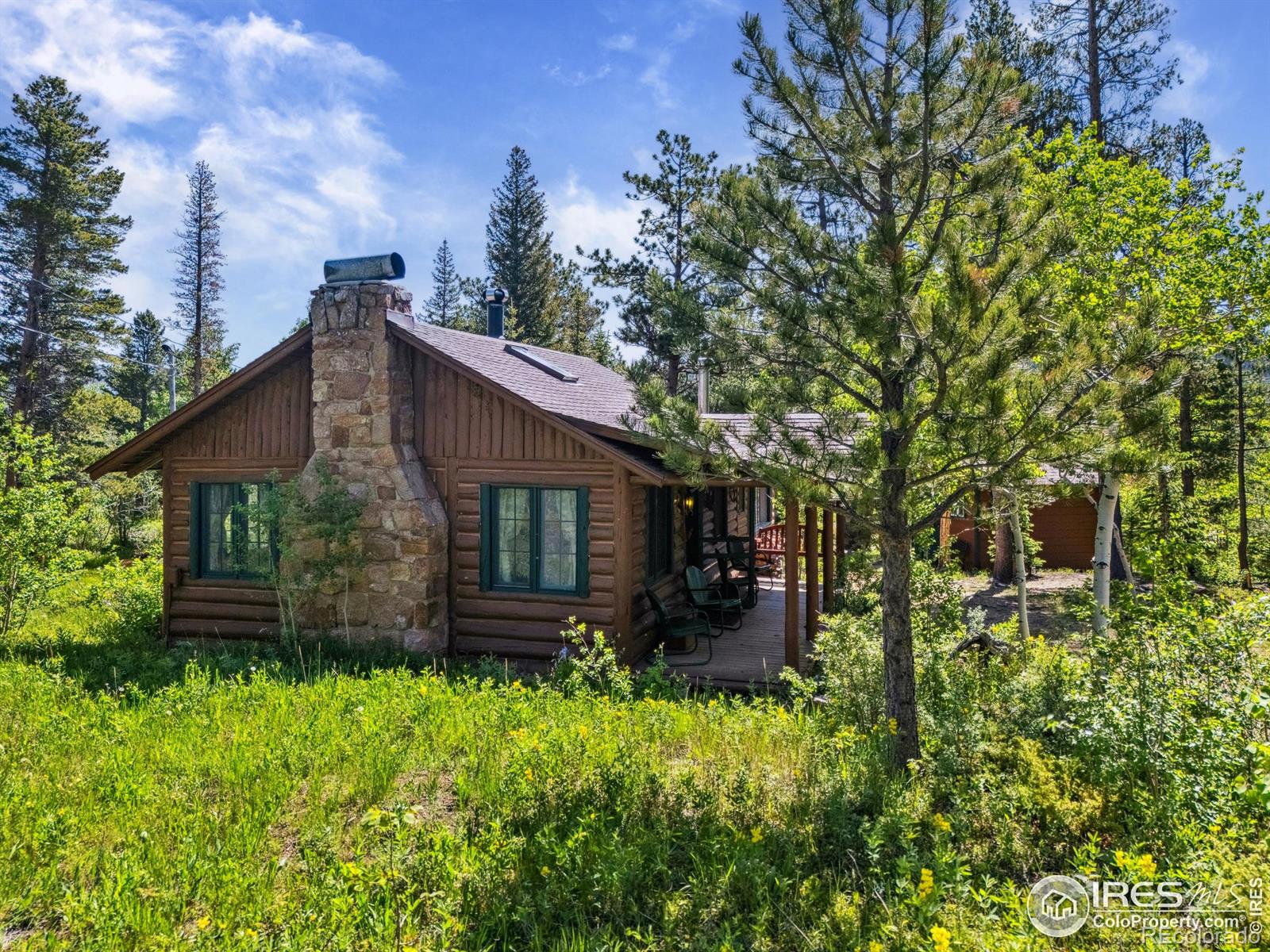MLS Image #24 for 84  county road 113 ,allenspark, Colorado