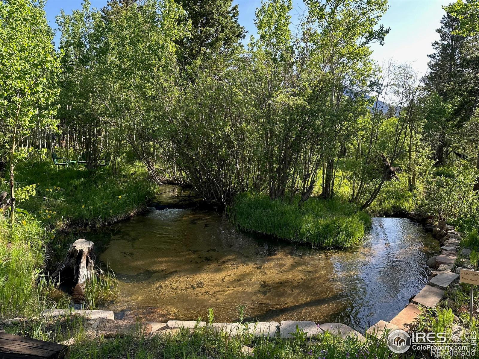 MLS Image #3 for 84  county road 113 ,allenspark, Colorado