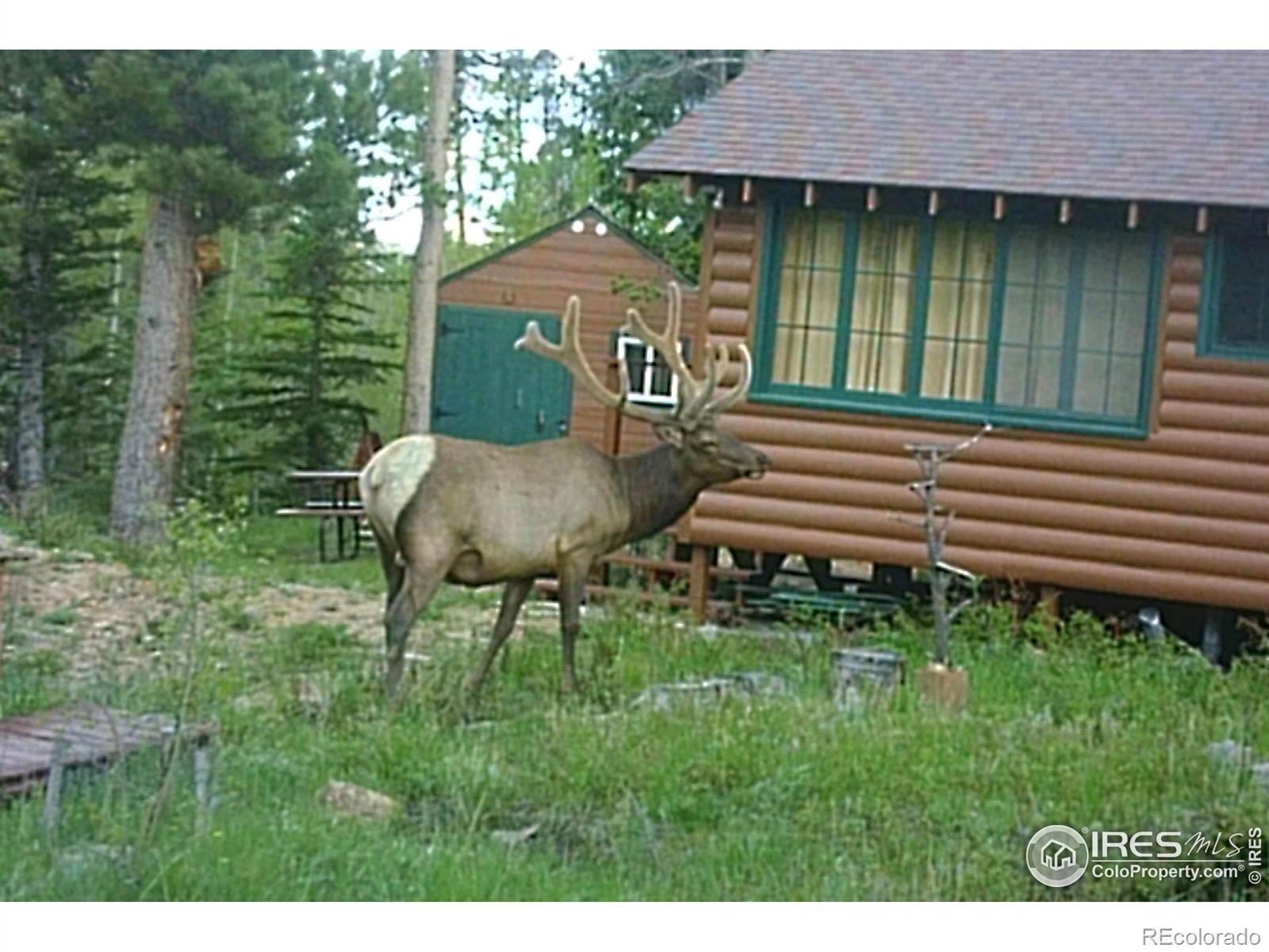 MLS Image #32 for 84  county road 113 ,allenspark, Colorado