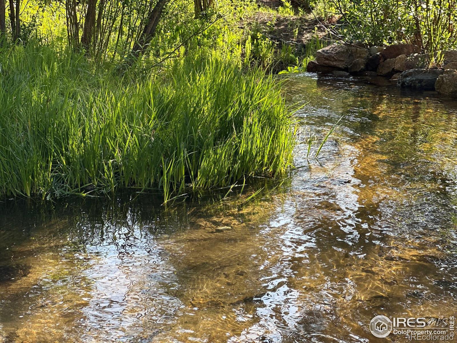 MLS Image #34 for 84  county road 113 ,allenspark, Colorado