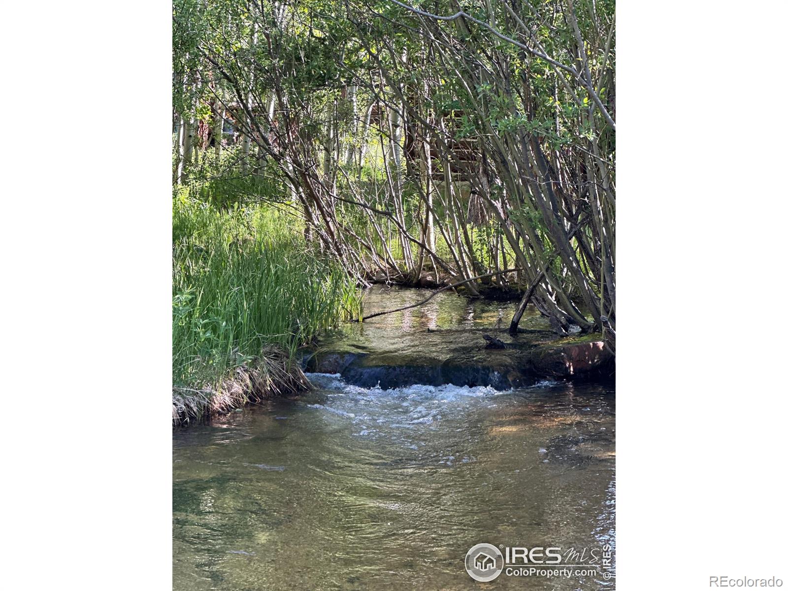 MLS Image #35 for 84  county road 113 ,allenspark, Colorado