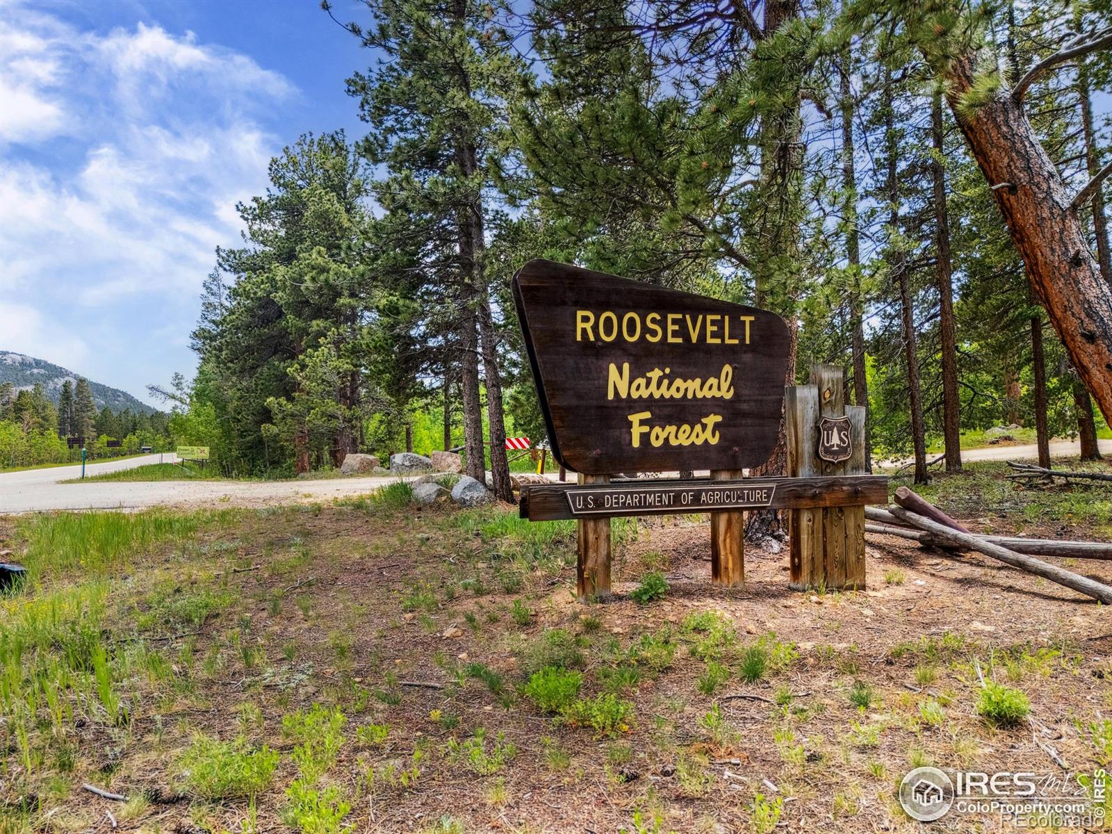 MLS Image #38 for 84  county road 113 ,allenspark, Colorado