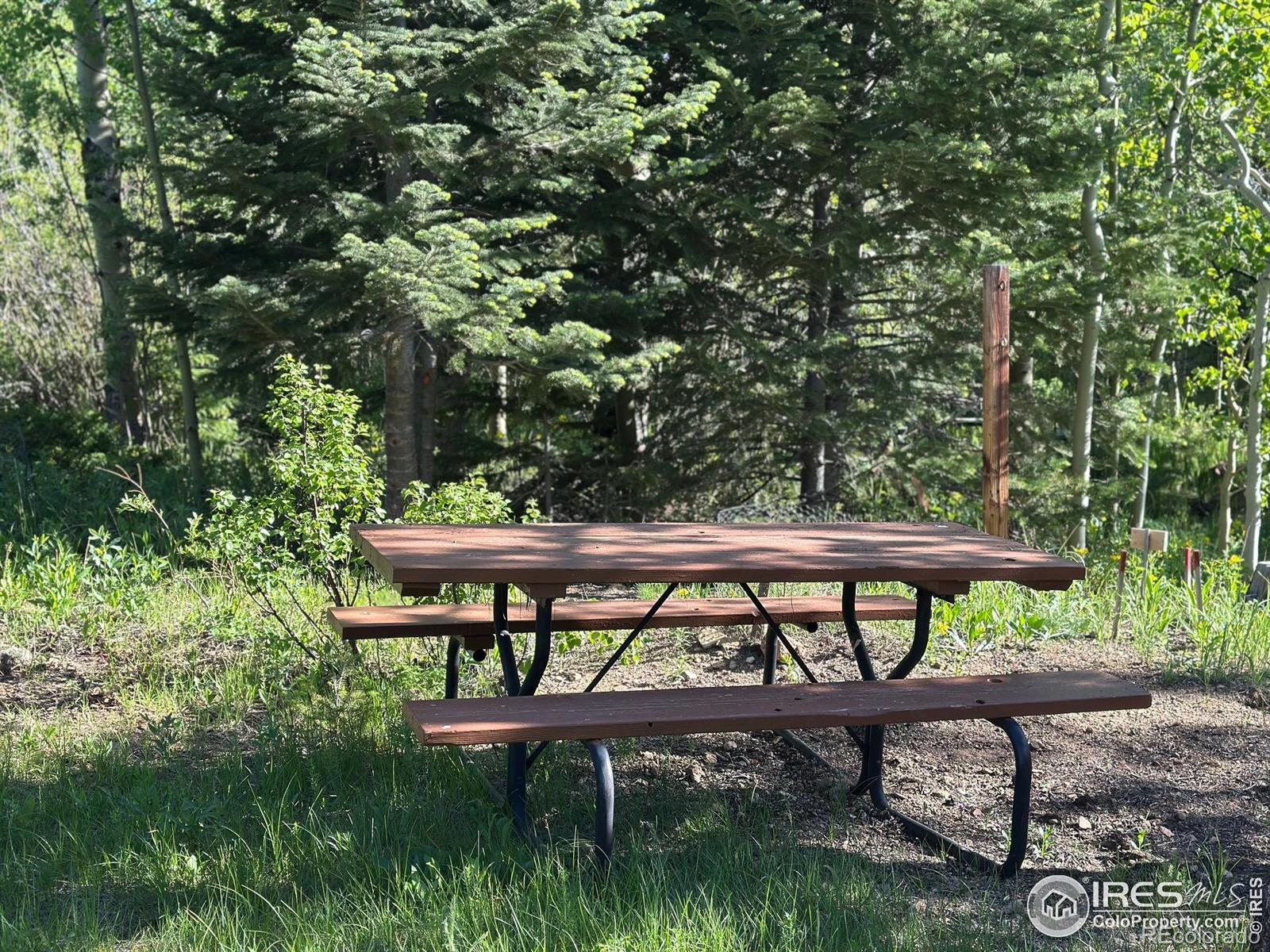MLS Image #39 for 84  county road 113 ,allenspark, Colorado