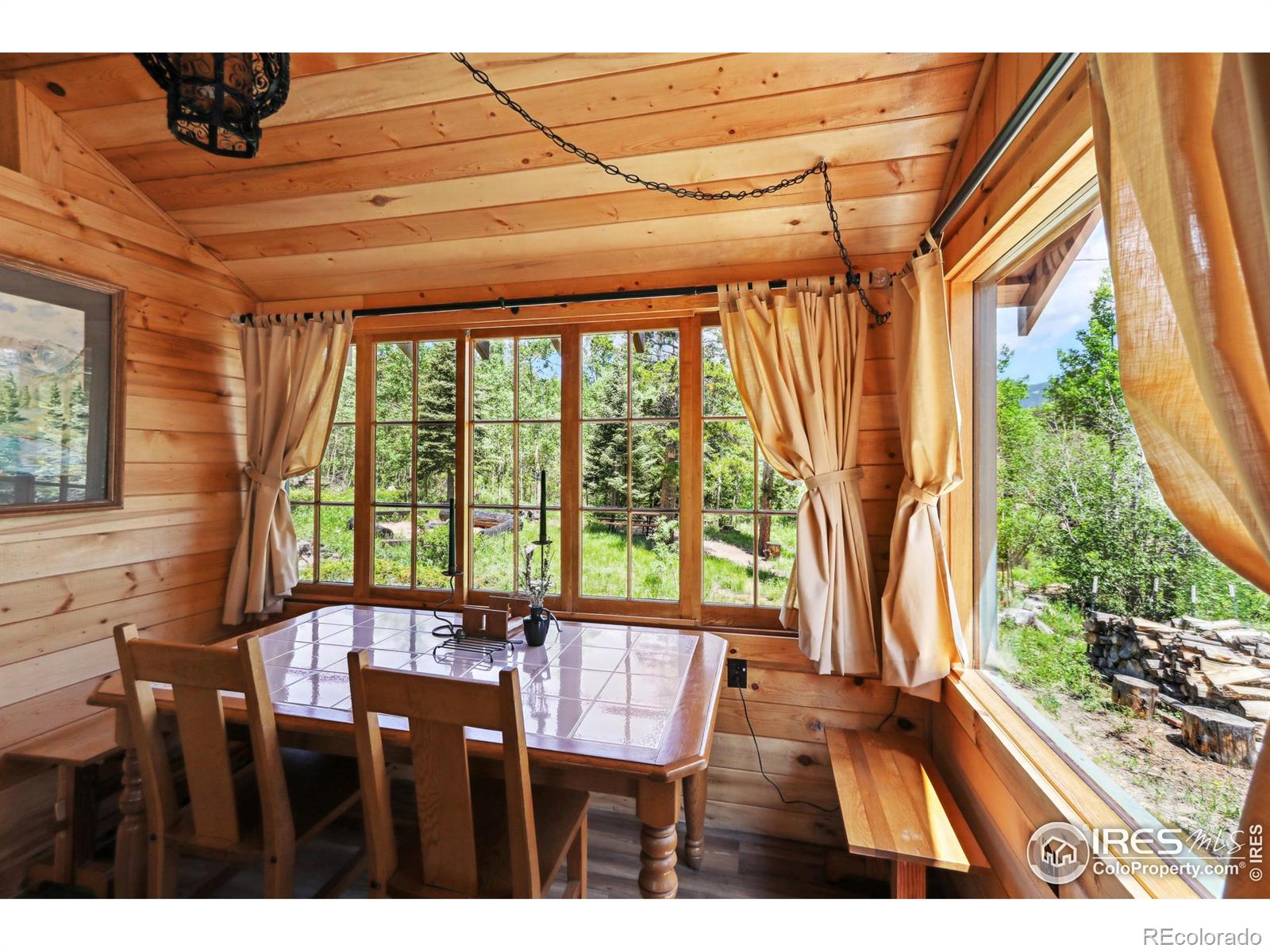 MLS Image #8 for 84  county road 113 ,allenspark, Colorado