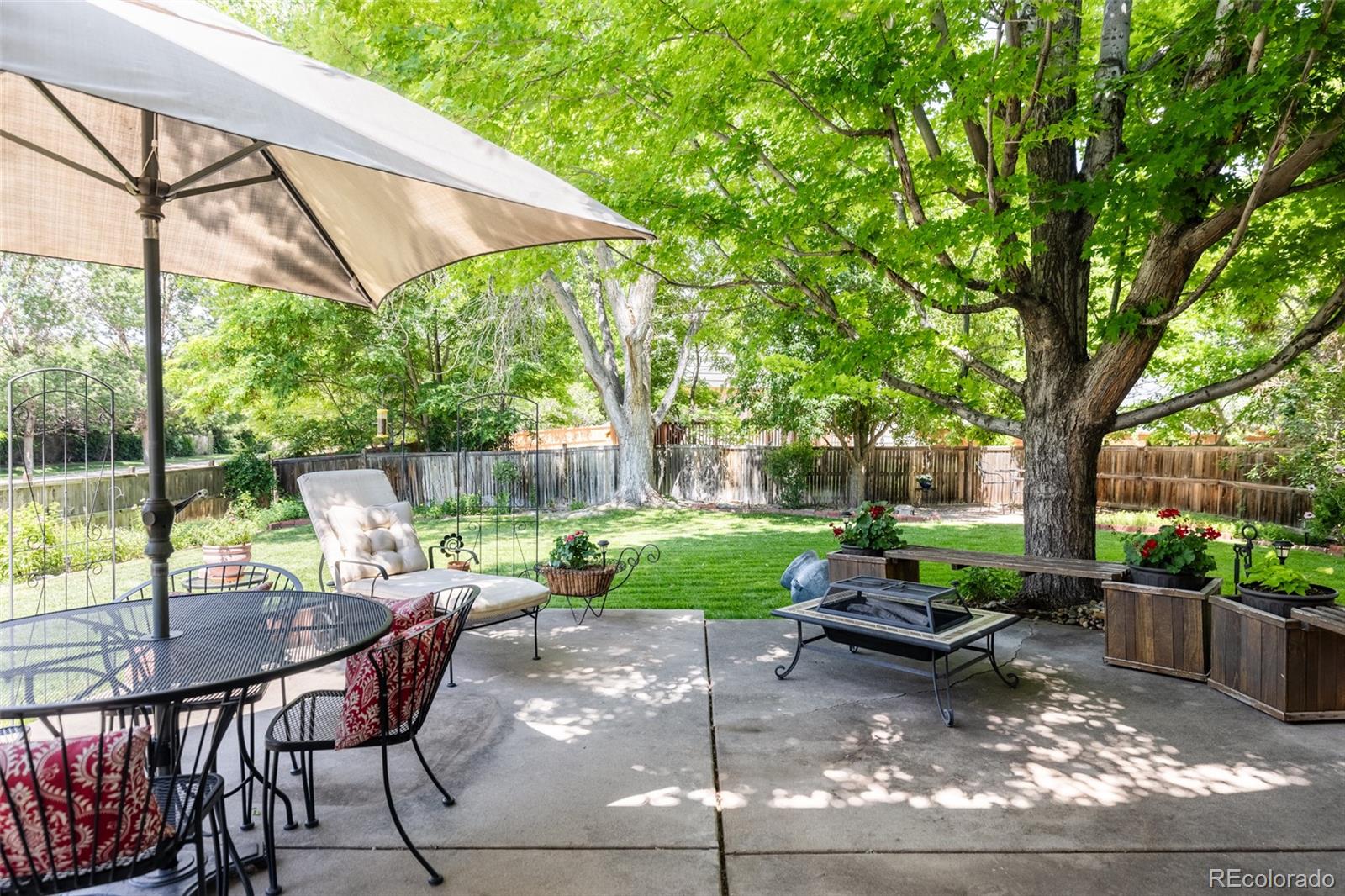 MLS Image #8 for 21105  willow park place,parker, Colorado