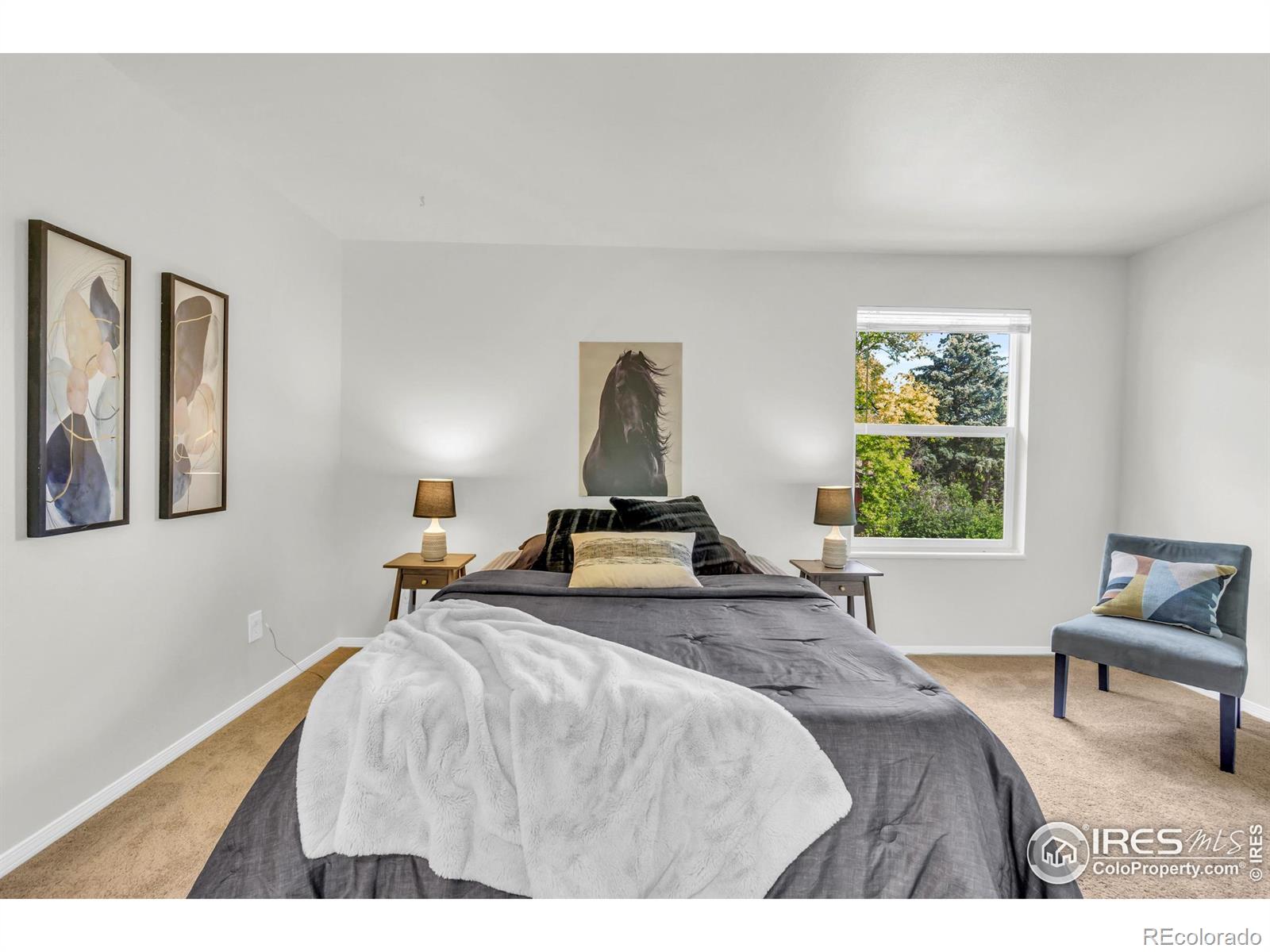 MLS Image #20 for 2036  lexington court,fort collins, Colorado