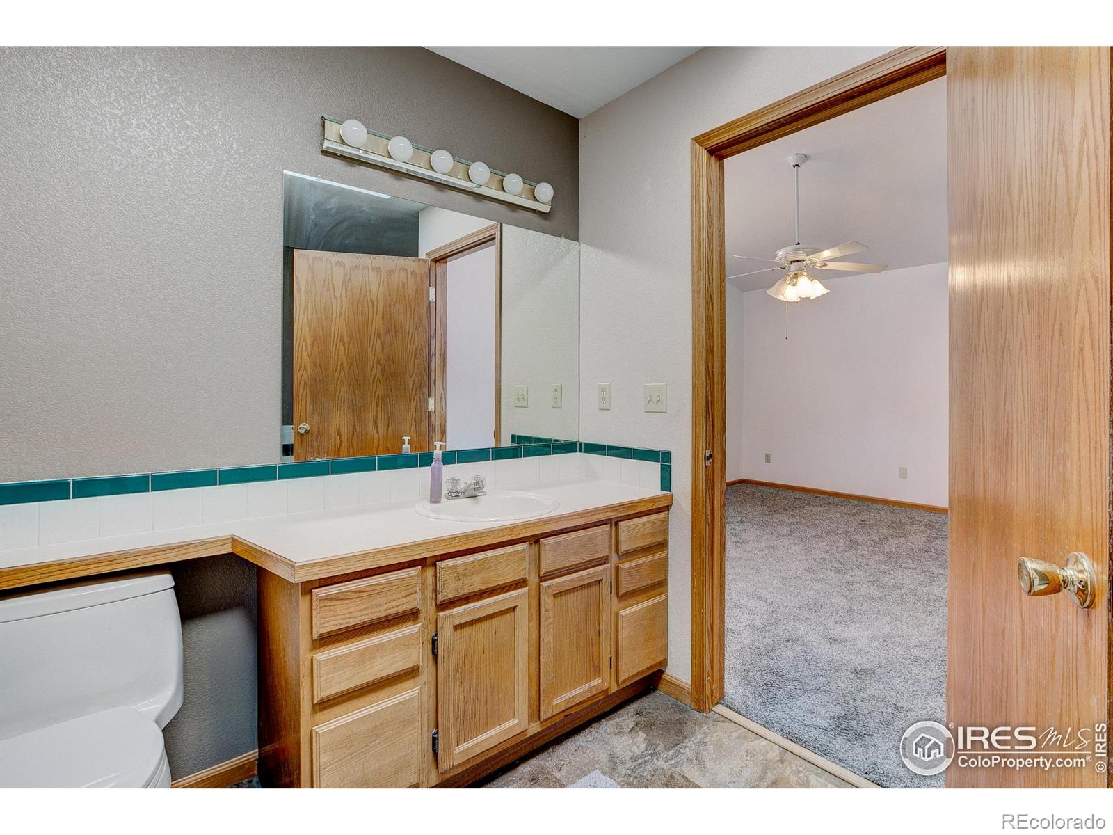 MLS Image #19 for 356  spring snow drive,loveland, Colorado
