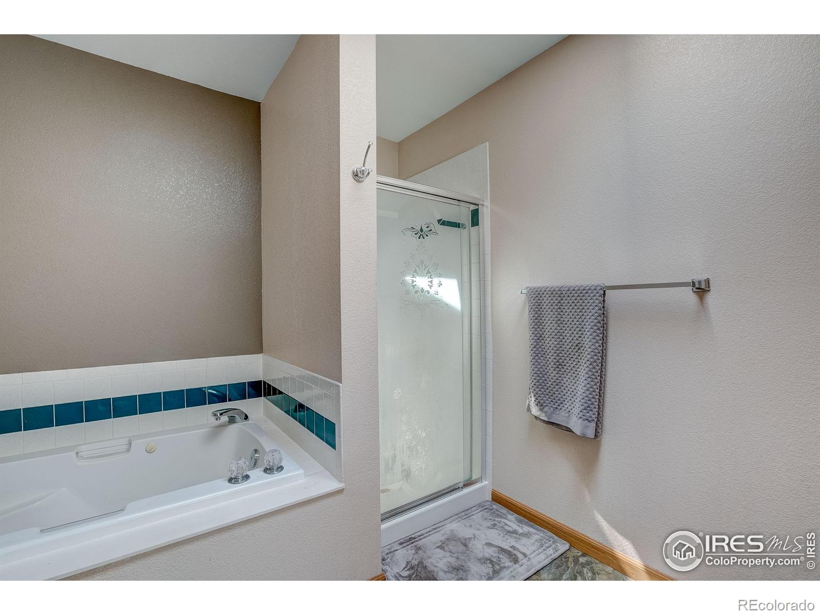 MLS Image #21 for 356  spring snow drive,loveland, Colorado