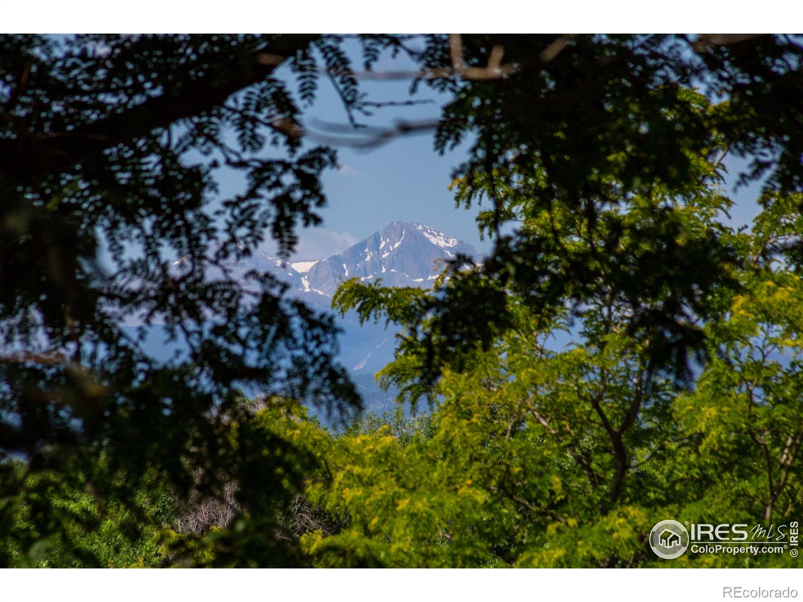 MLS Image #34 for 356  spring snow drive,loveland, Colorado